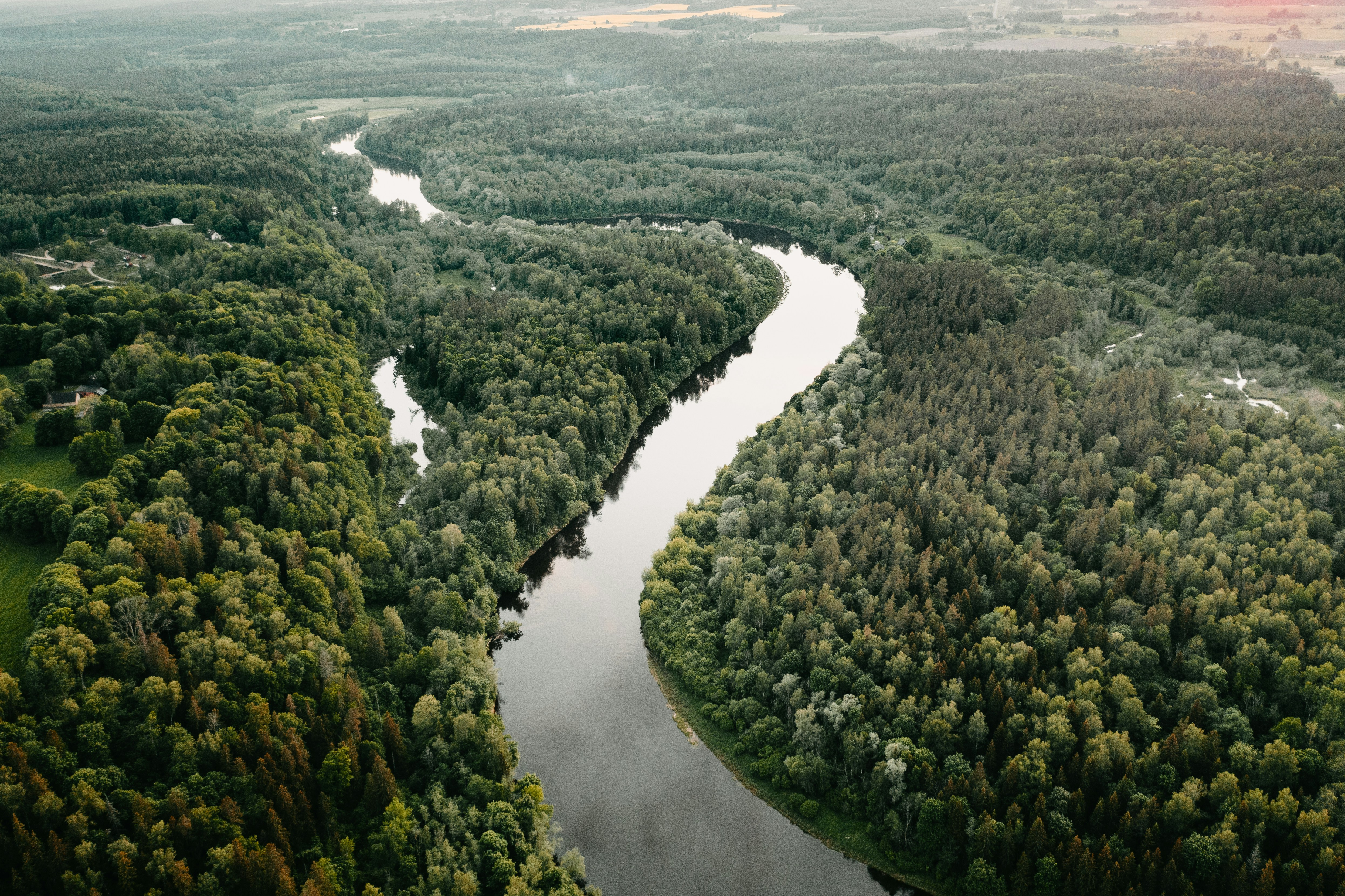aerial view of green trees and river