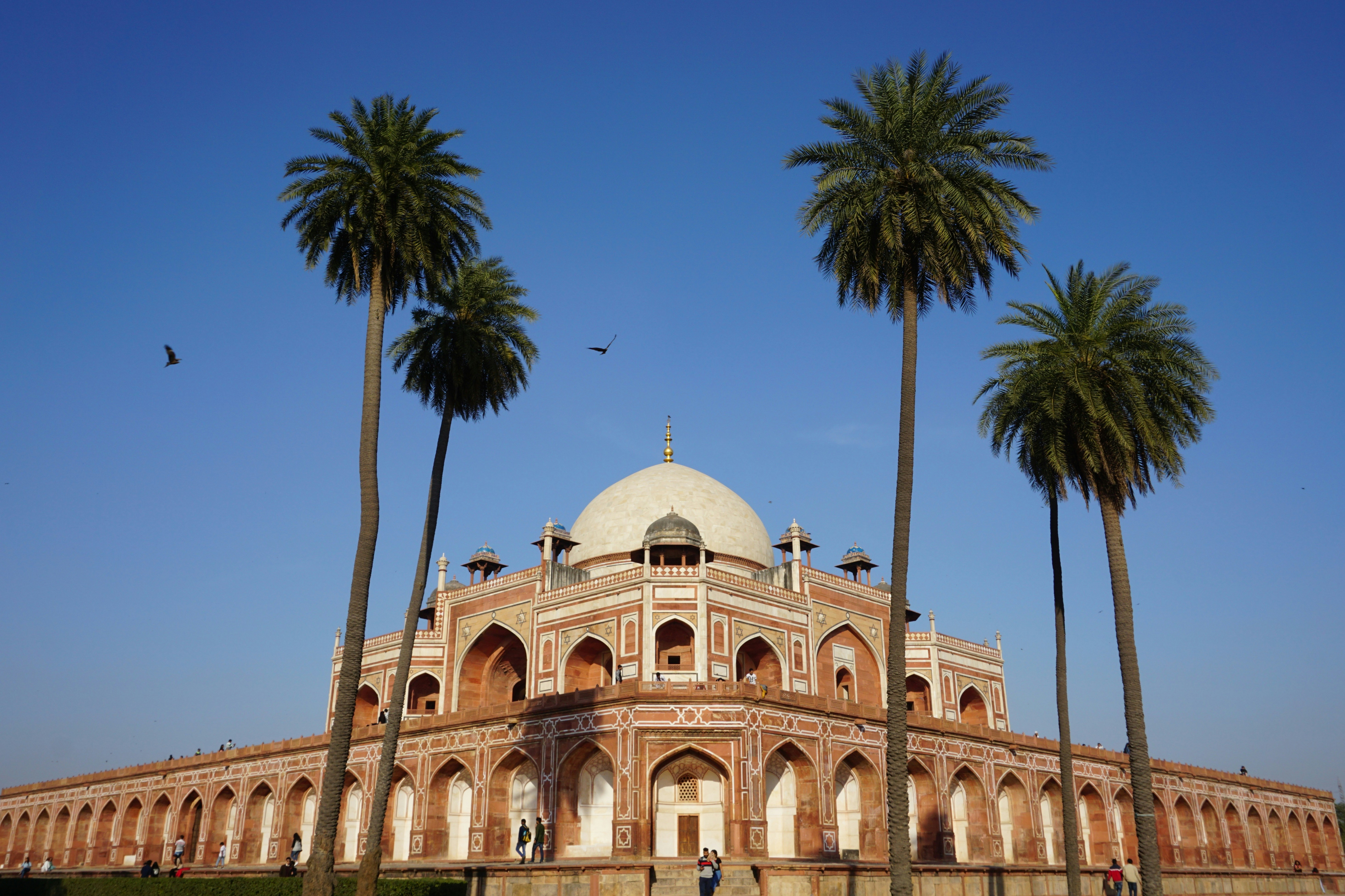 Photo by rds_shutter