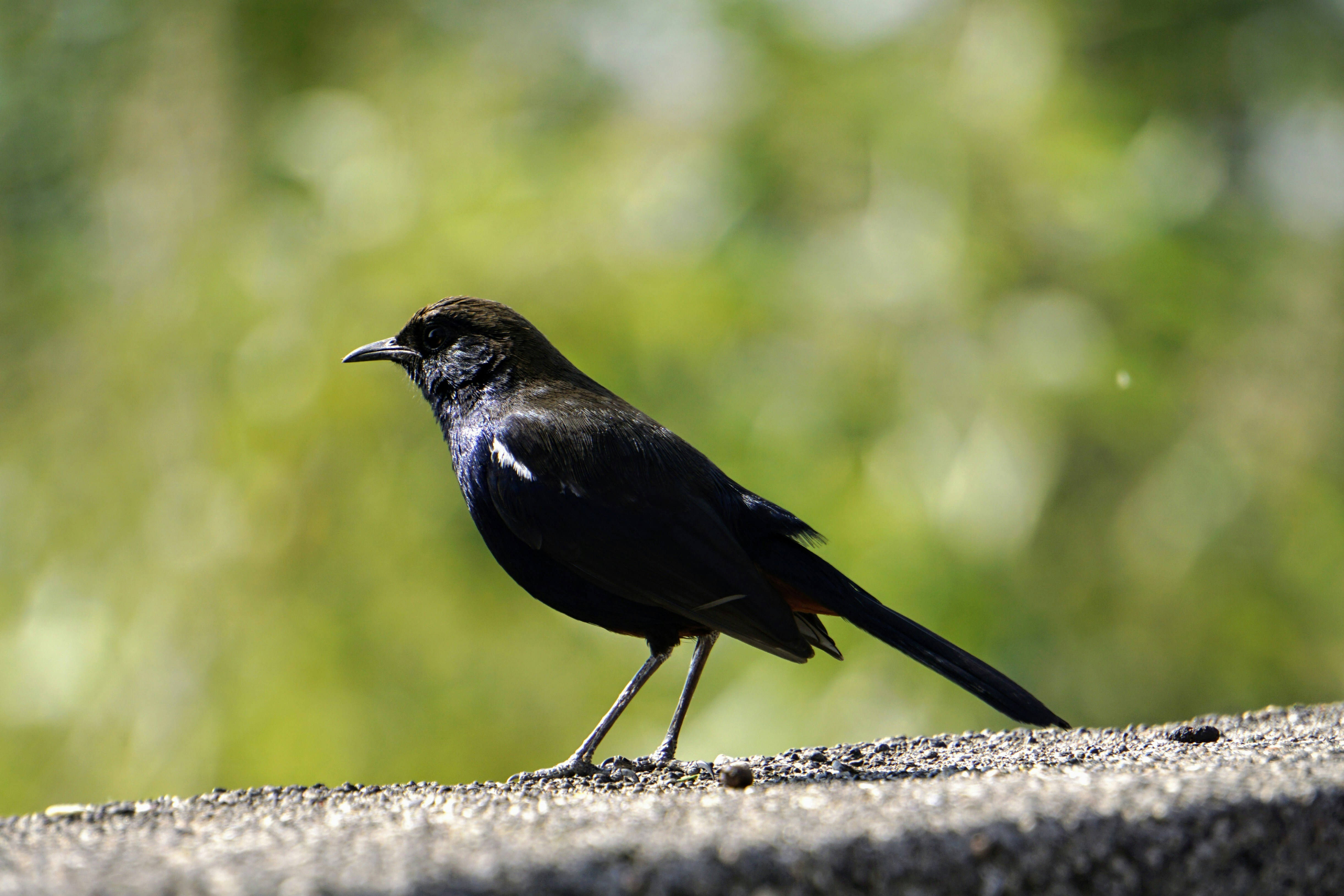 Photo by rds_shutter