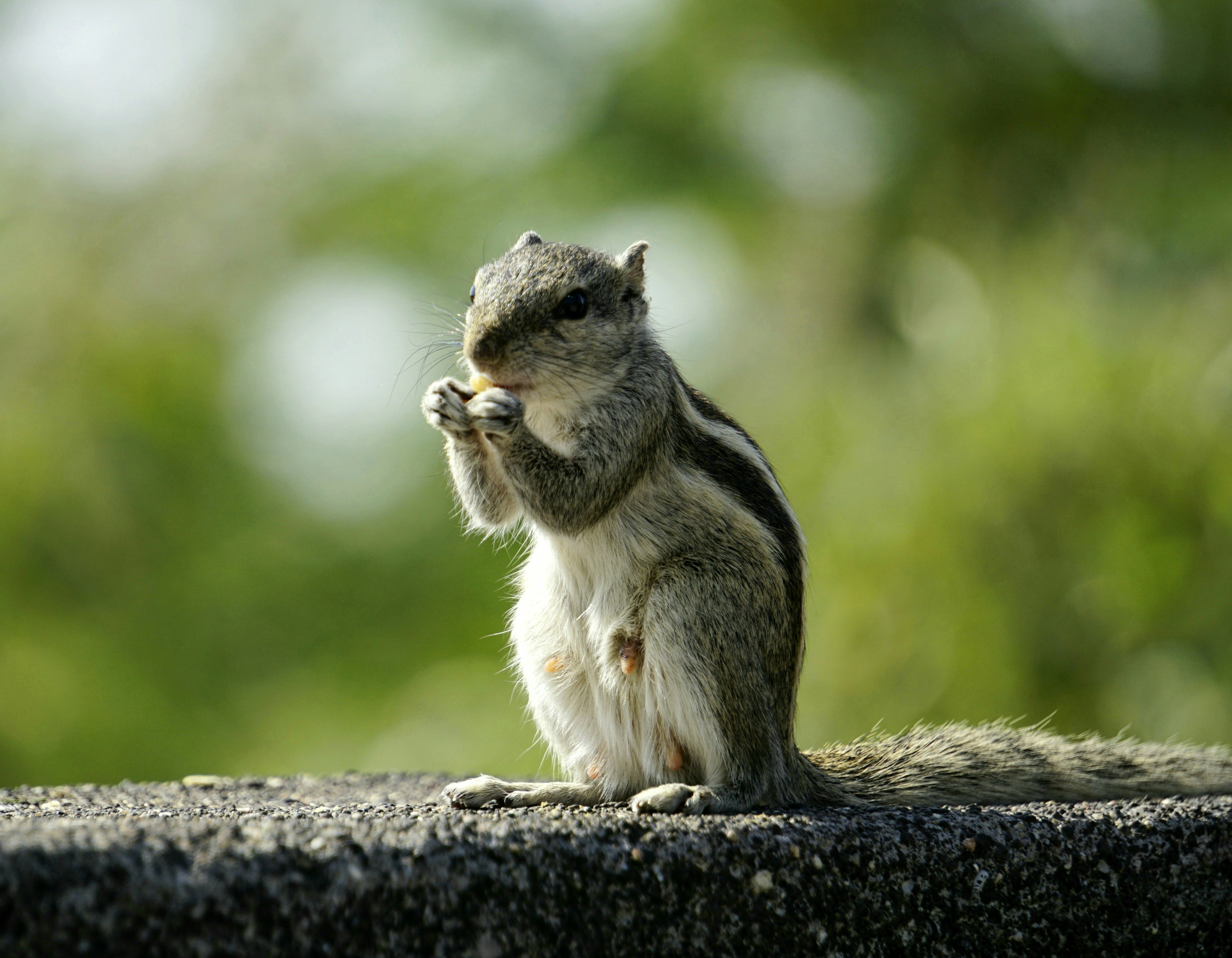 Photo by rds_shutter