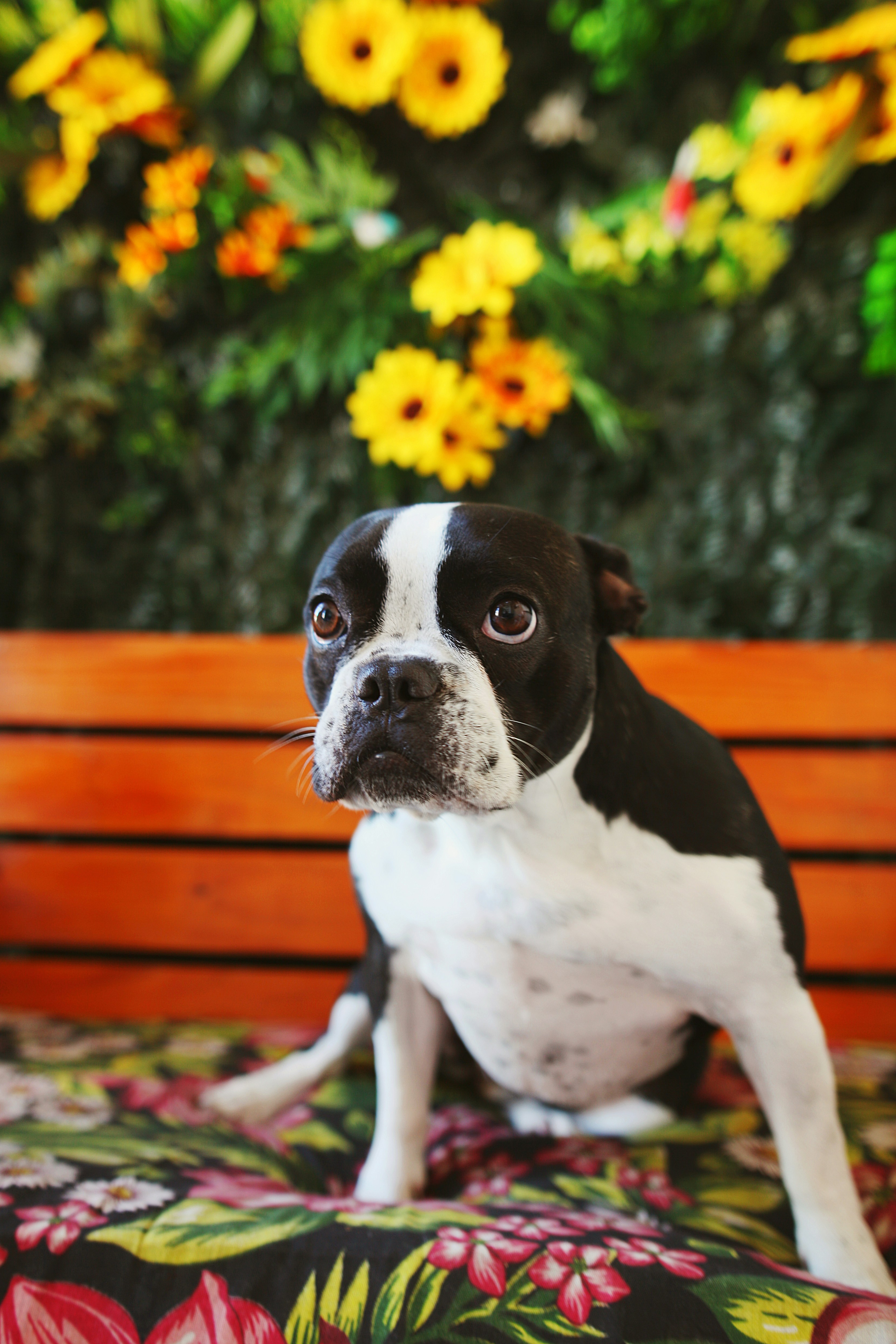 Photo by silvana_carlos