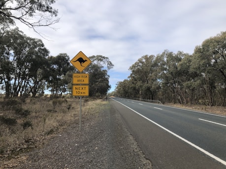 yellow and black road sign