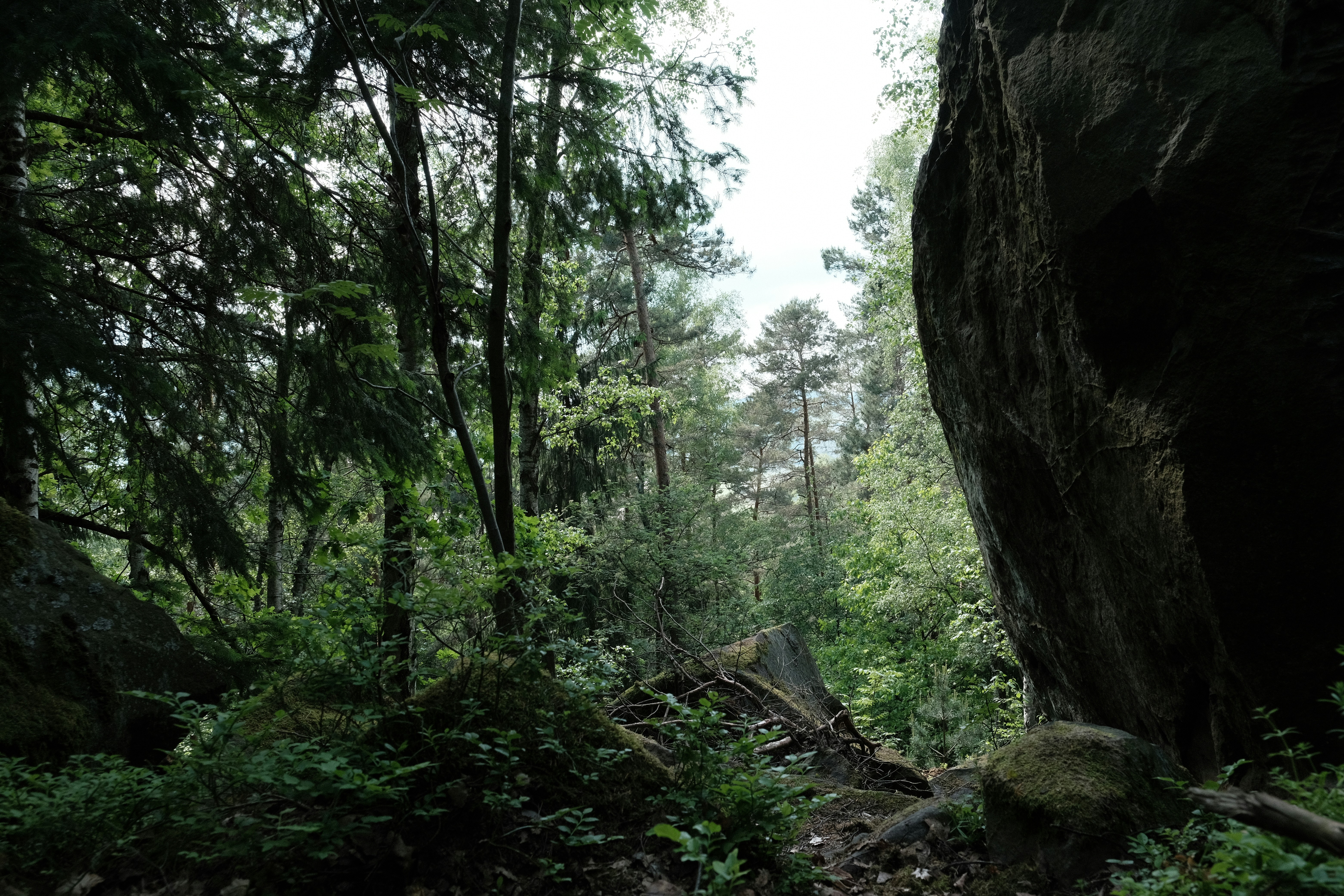 Photo by ignaz_wrobel