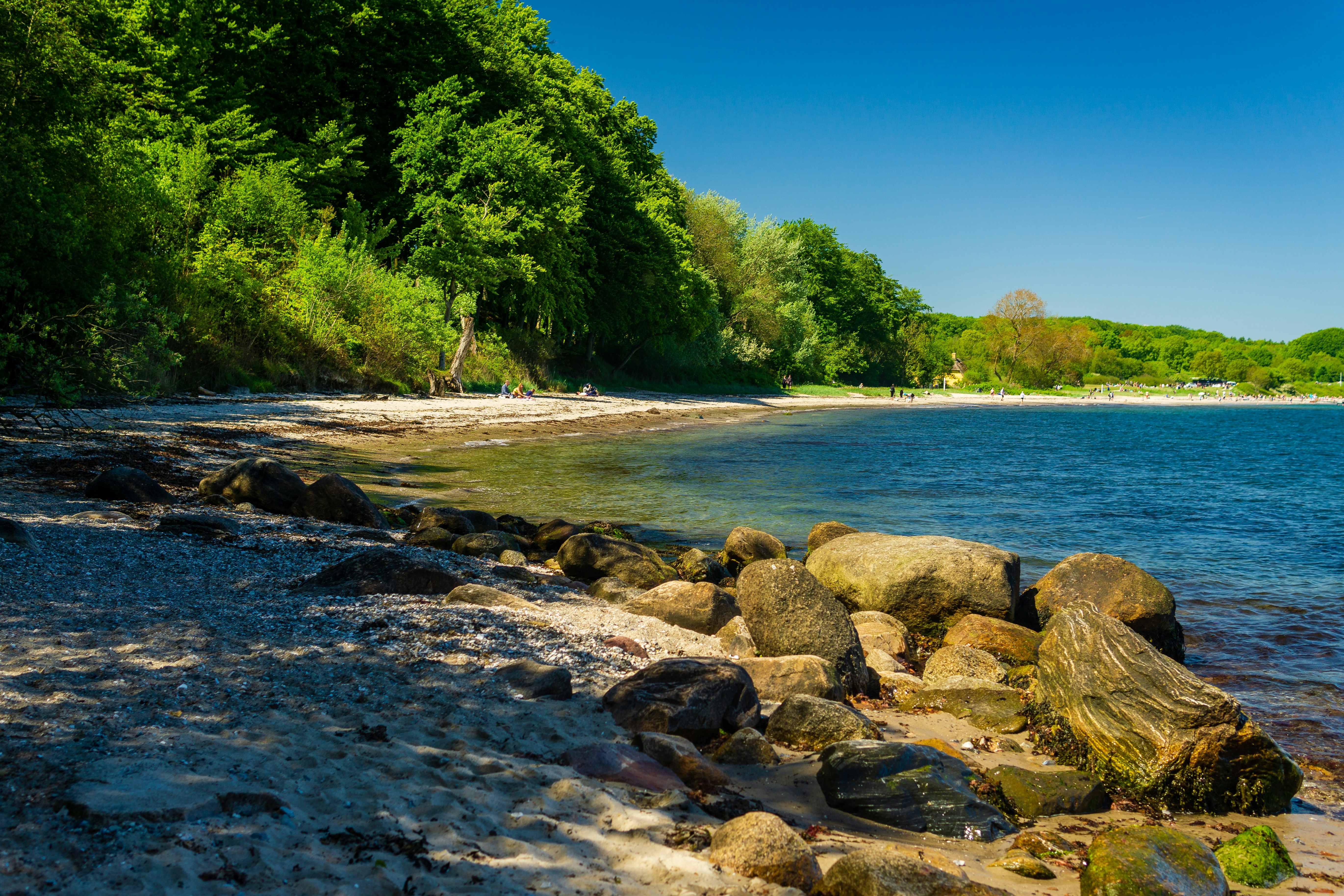 莫斯加德博物馆