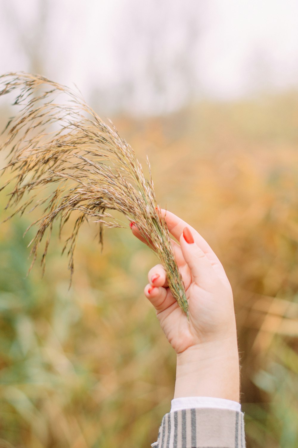 a person holding a plant in their hand