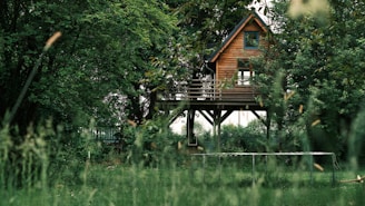 brown wooden house on green grass field near green trees and lake during daytime