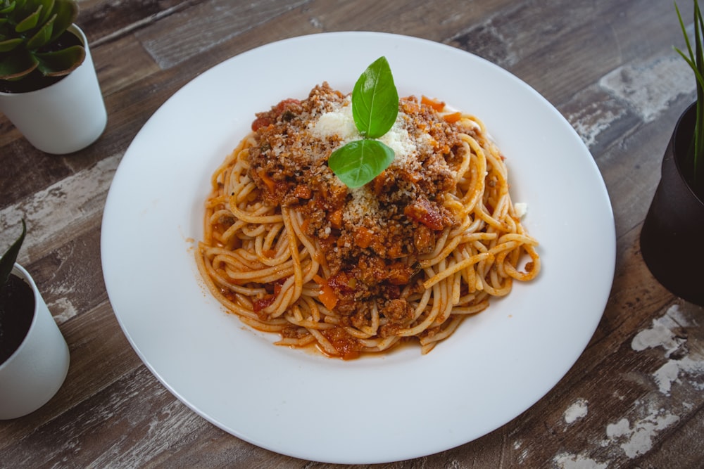 spaghetti on white ceramic plate