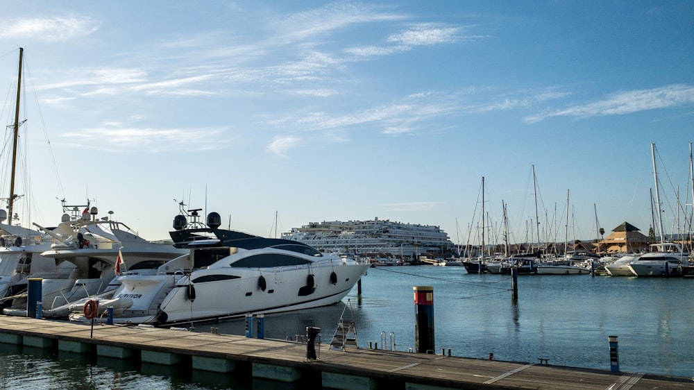 white and black yacht on dock during daytime