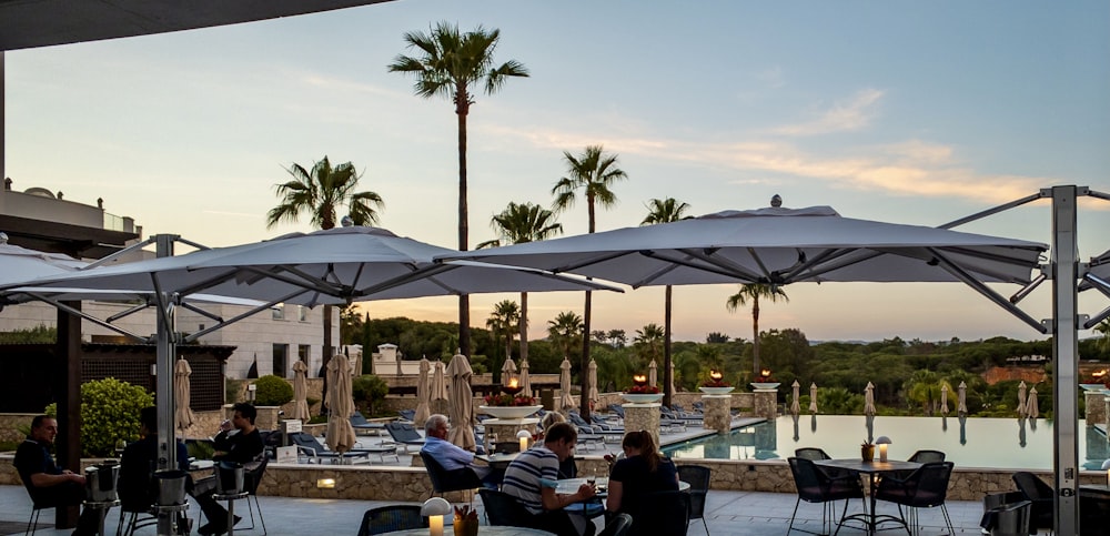 people sitting on chair near green palm trees during daytime