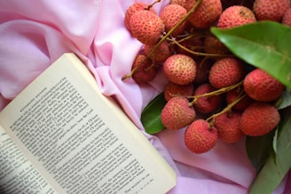 An open book lies on a soft pink fabric, next to a bunch of lychees with green leaves. The text on the book includes a title 'Wuthering Heights' and is visible clearly. The overall scene is arranged in a delicate and visually pleasing manner.