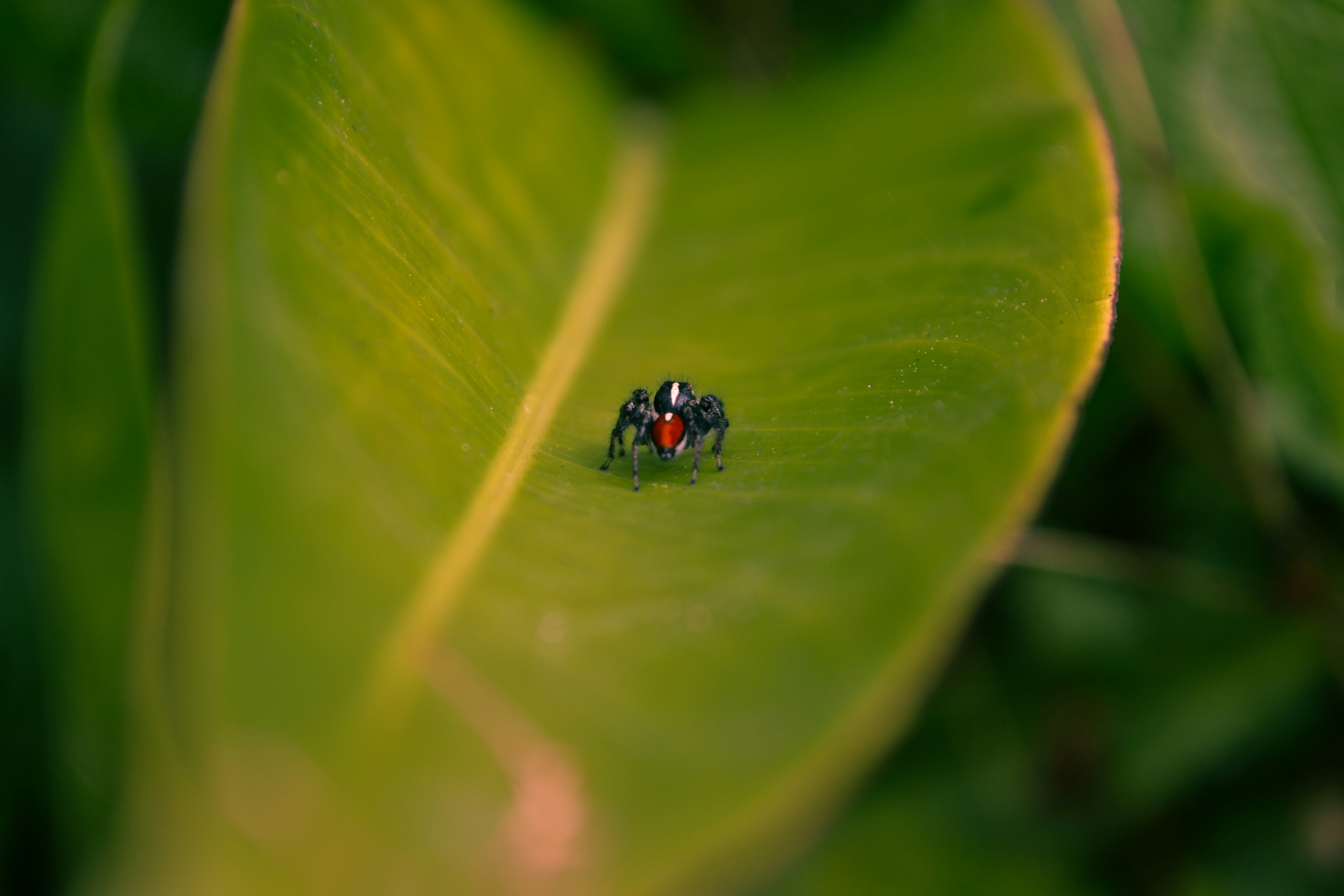 Photo by luanleite_foto