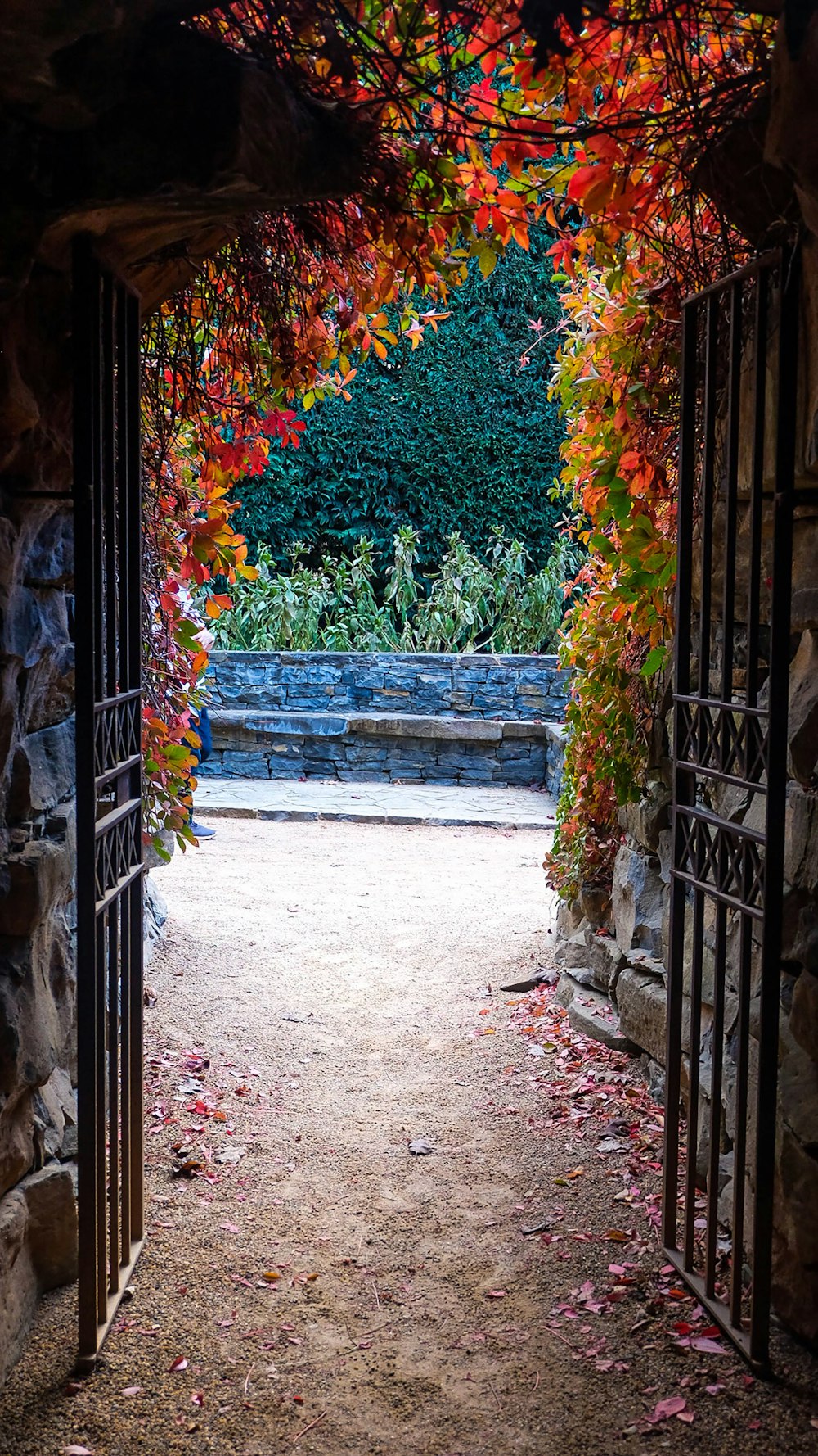 brown wooden gate with green and red plants