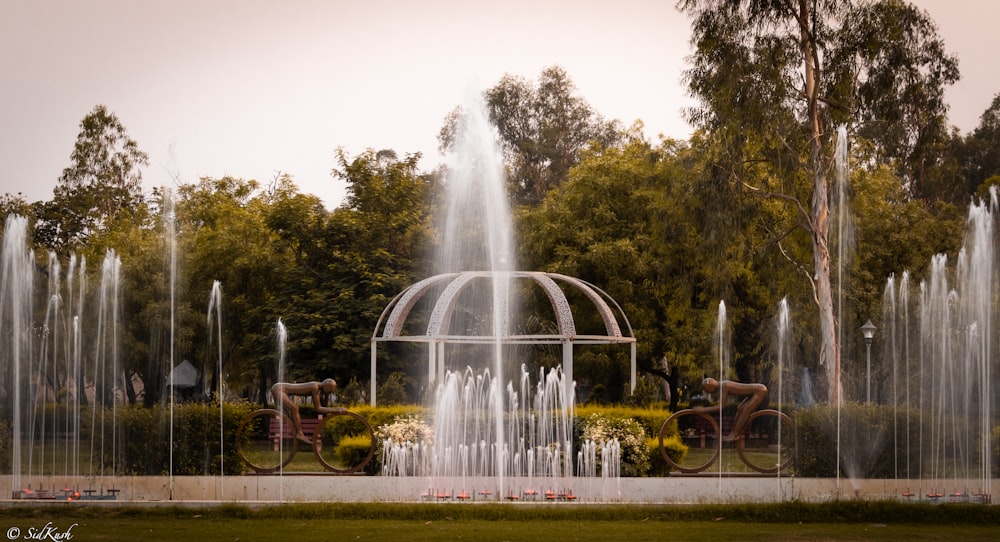 water fountain in the middle of green trees