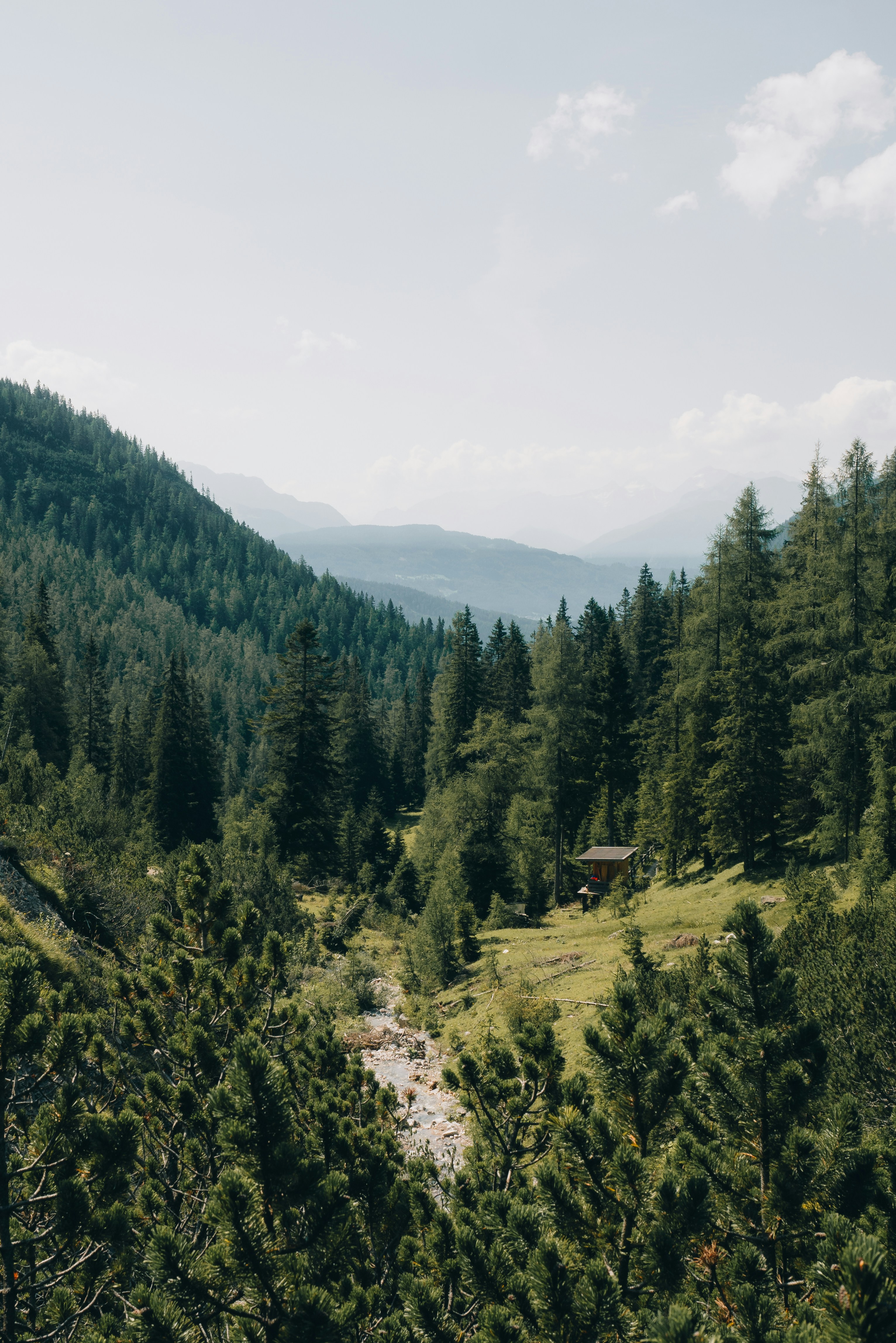 Photo by dermanuskript