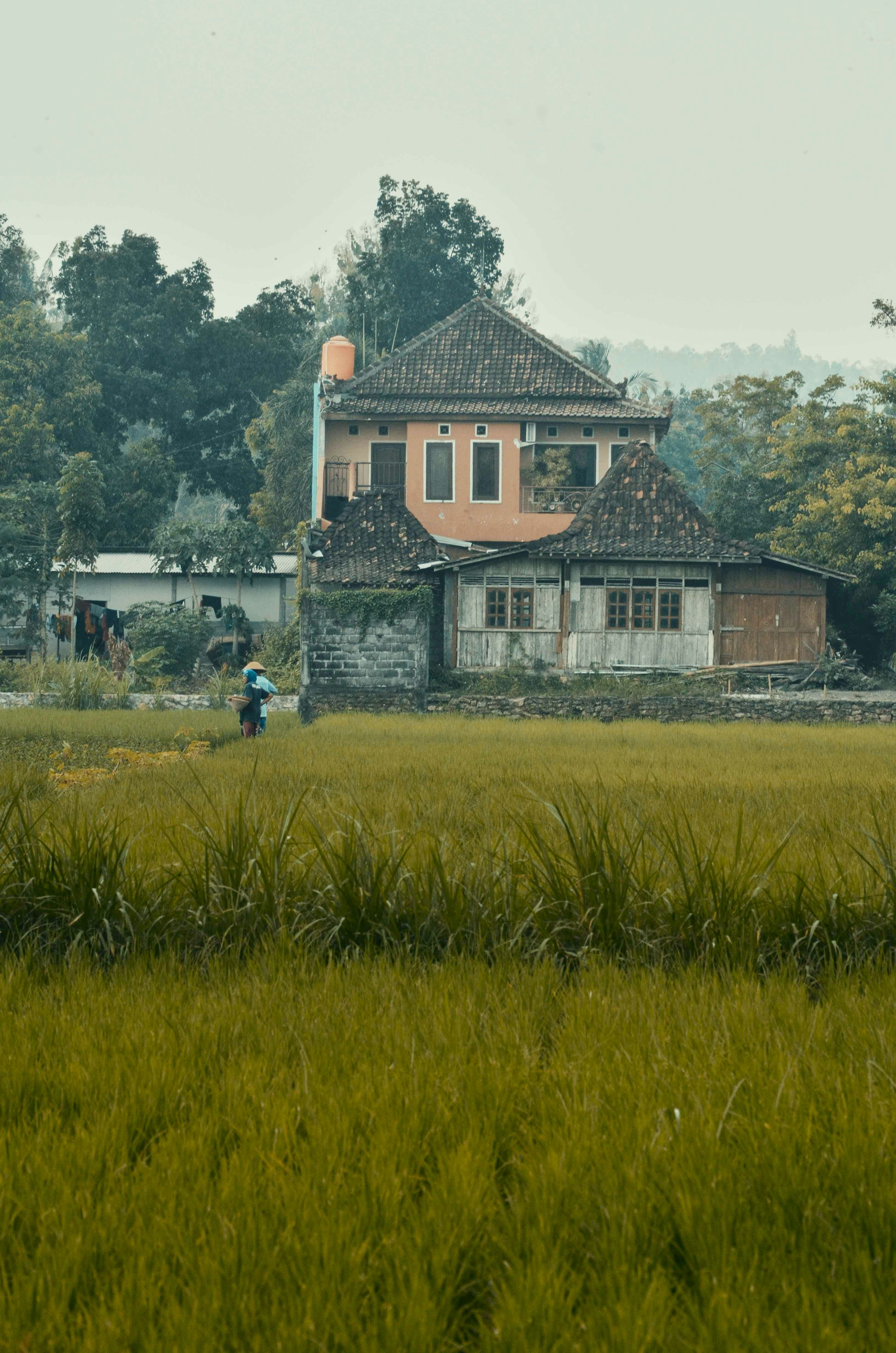 people walking on green grass field near white and brown concrete house during daytime