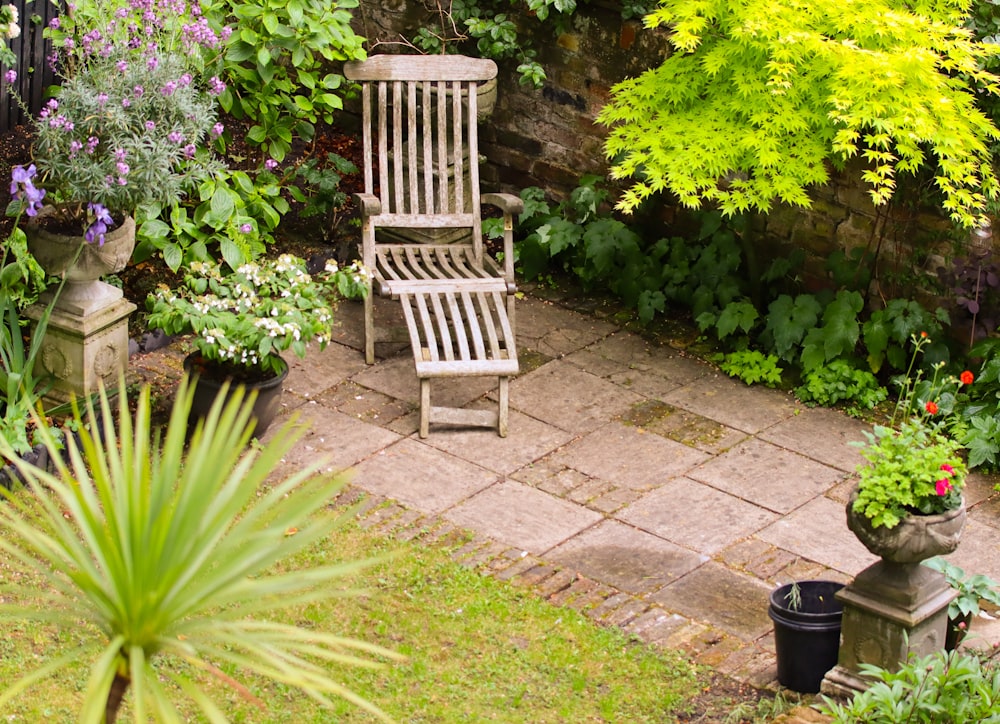 white wooden armchair beside green plants