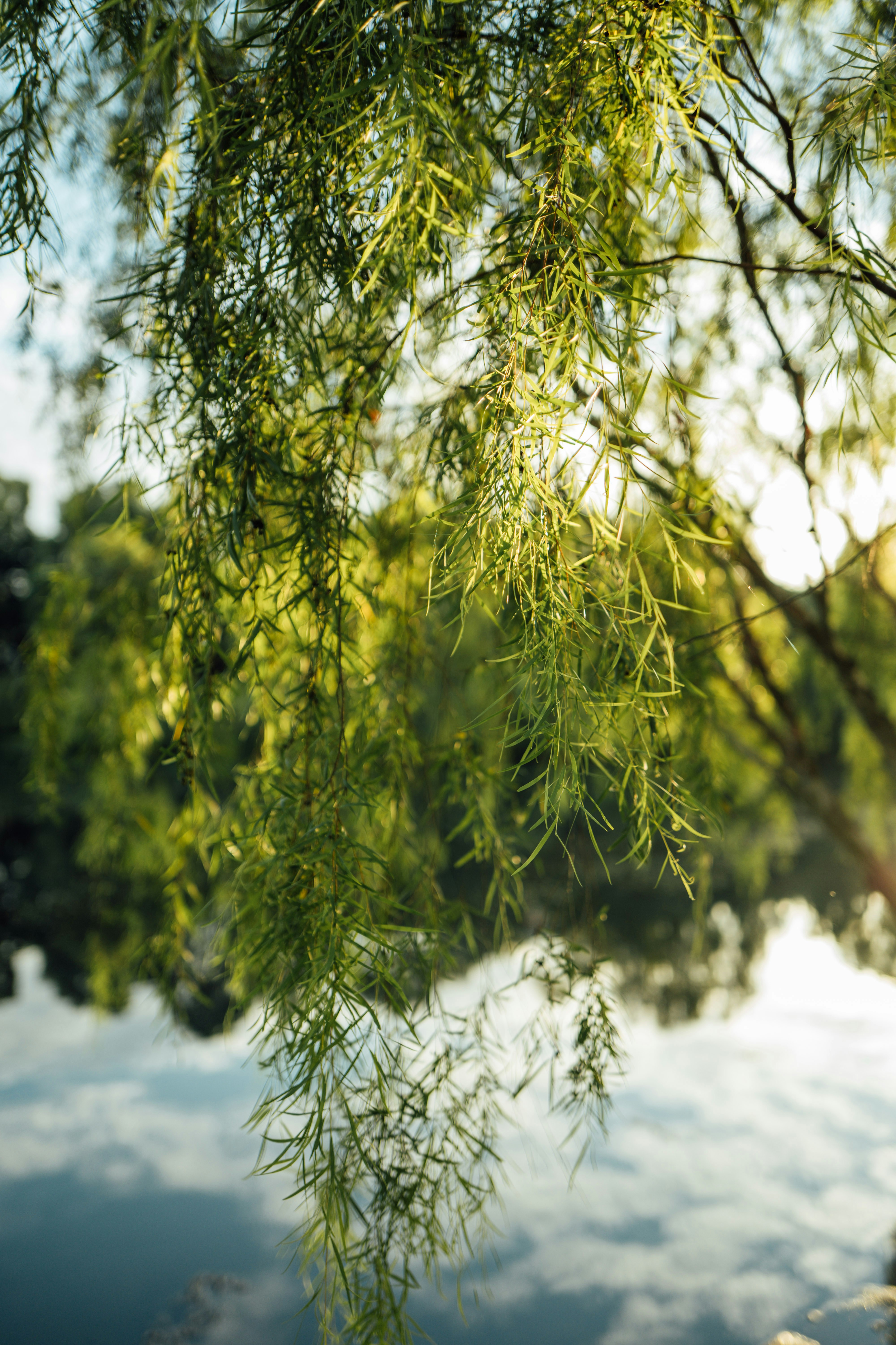 Photo by chuttersnap