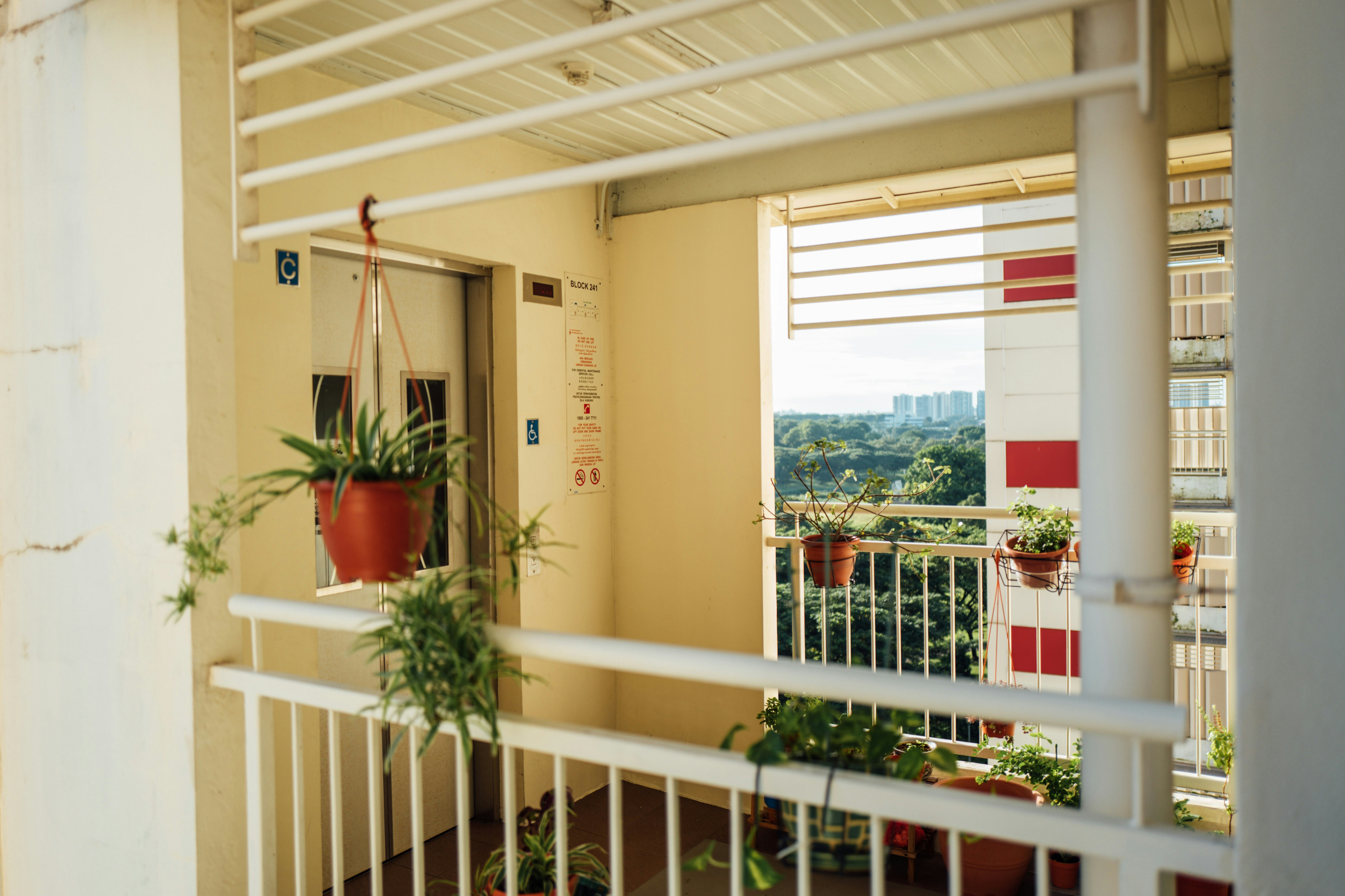 Photo by chuttersnap