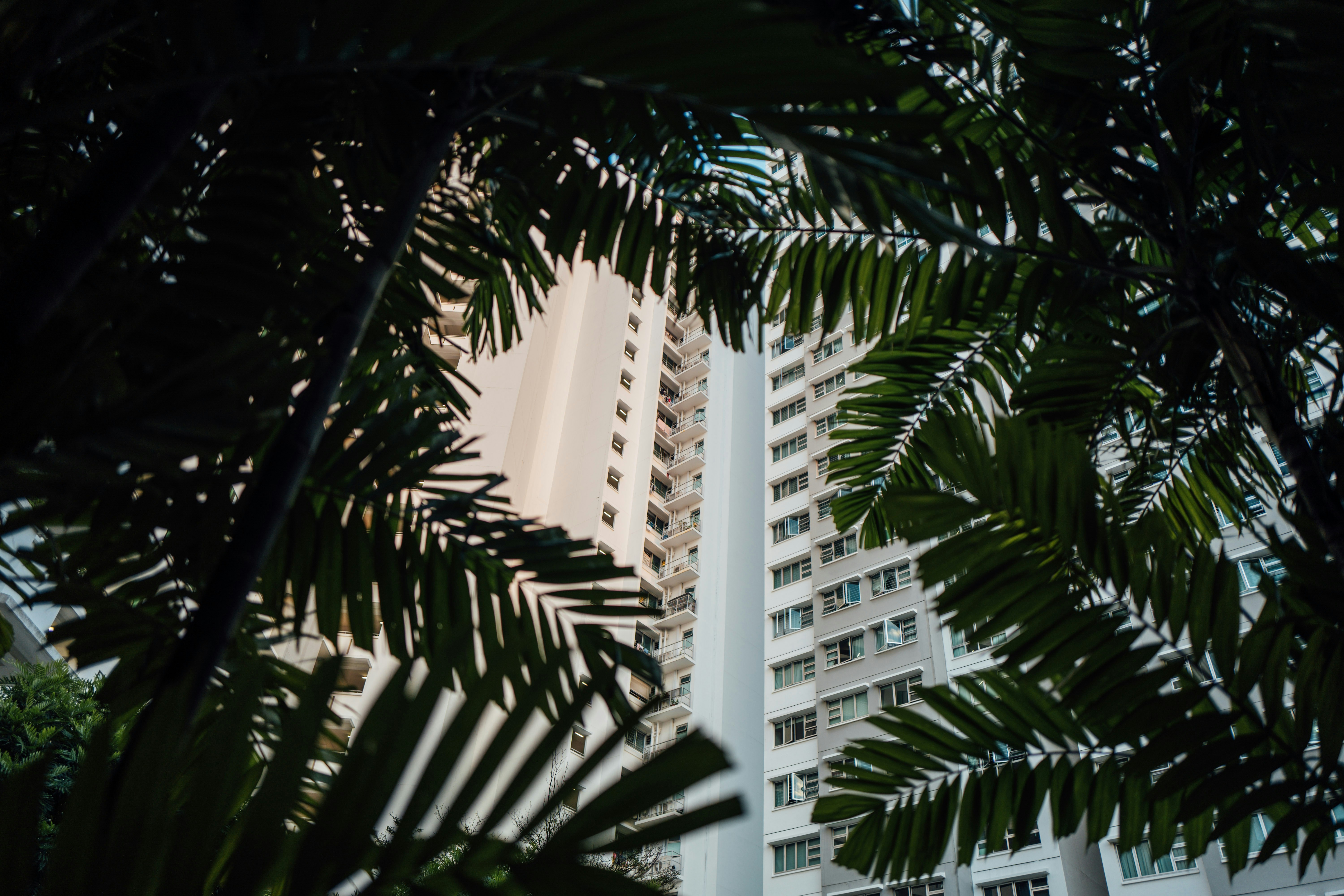 Photo by chuttersnap