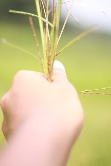 A serene scene of hands holding fresh herbs against a soft beige background, evoking calm and nature.