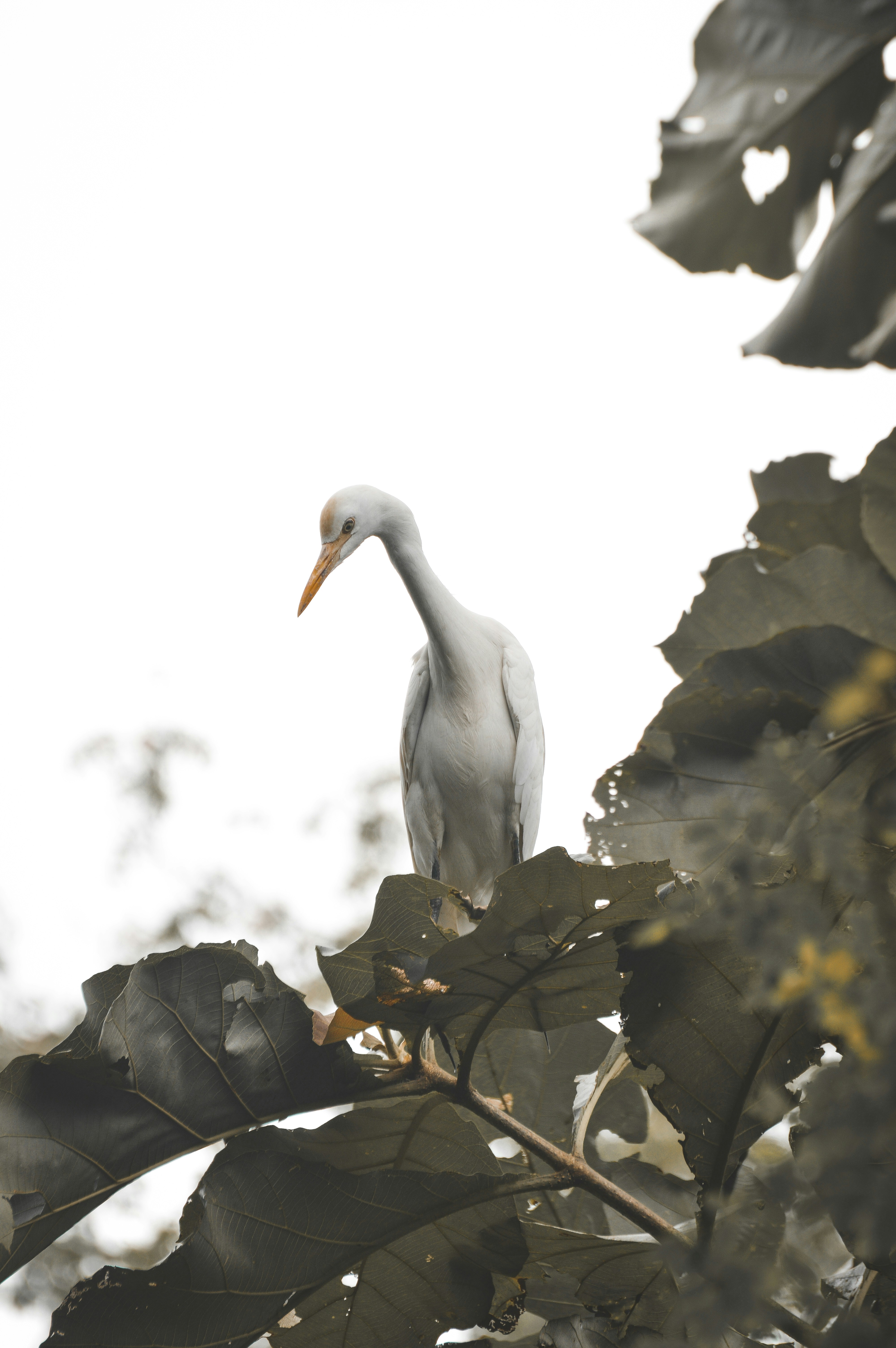 Photo by jithinvijayamohanan
