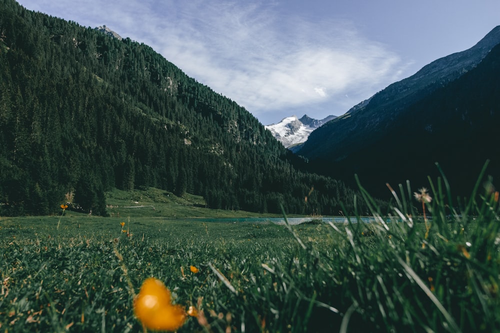 green grass field near mountain under cloudy sky during daytime