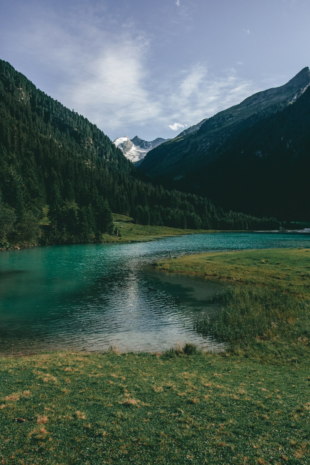 árvores verdes perto do lago e das montanhas durante o dia