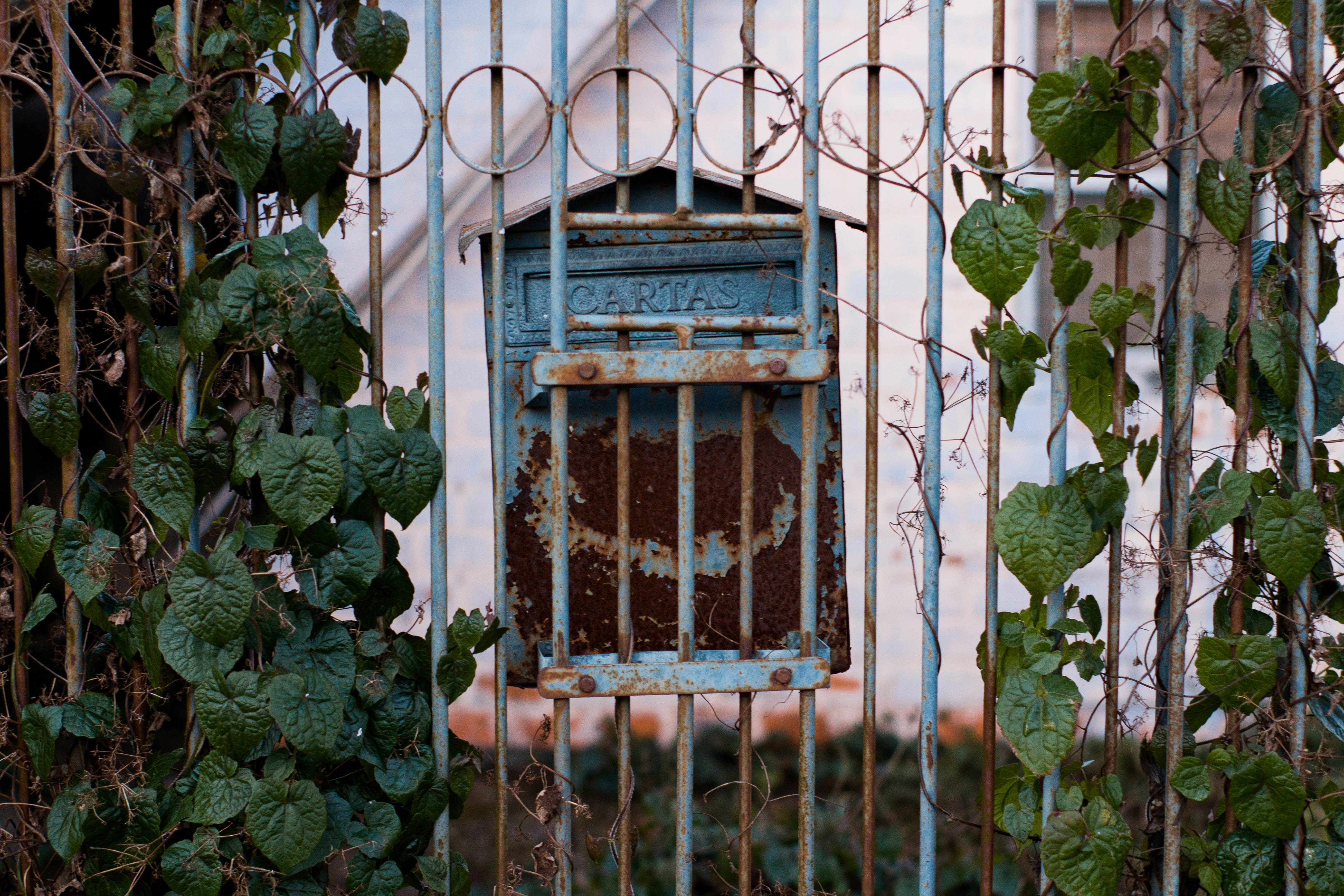 Photo by rhubiacarol