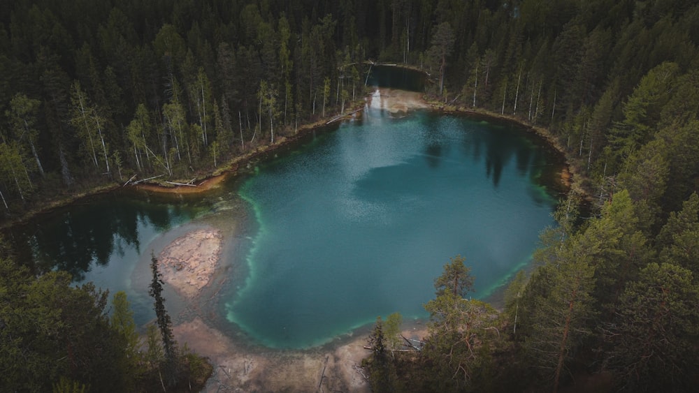 green trees beside blue lake during daytime