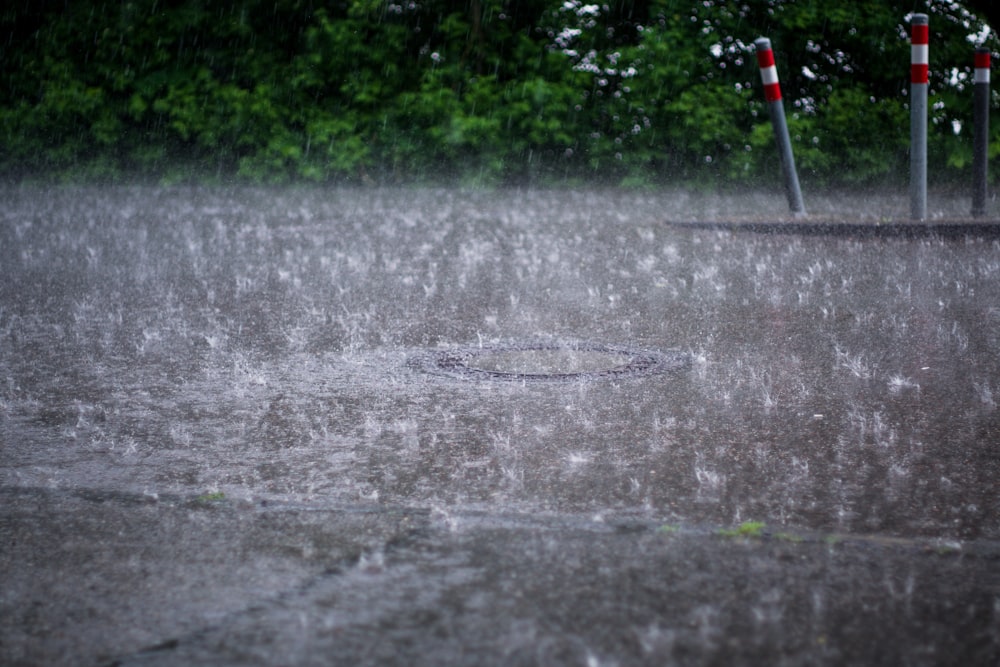 water droplets on gray concrete road