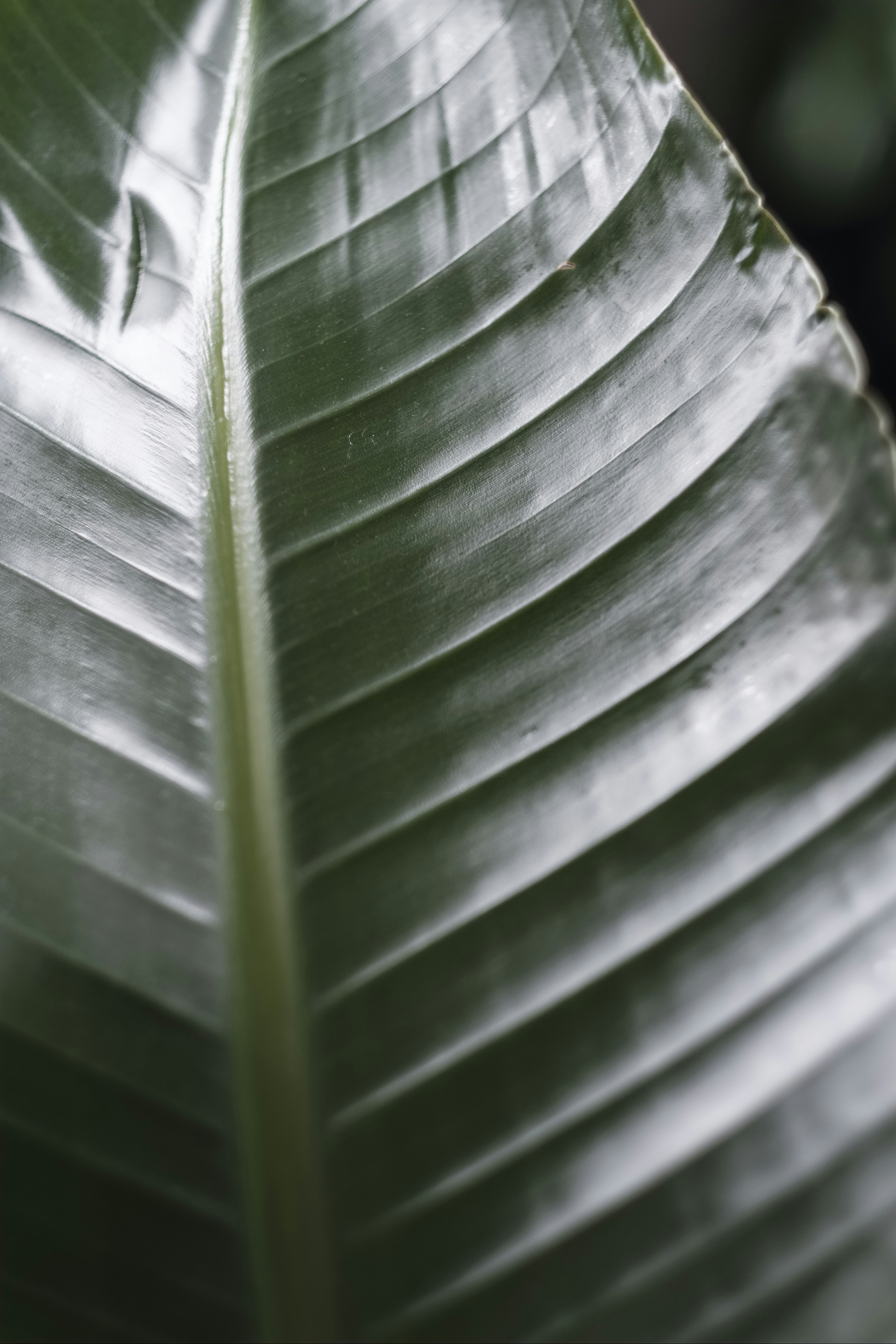 Photo by pixelatelier