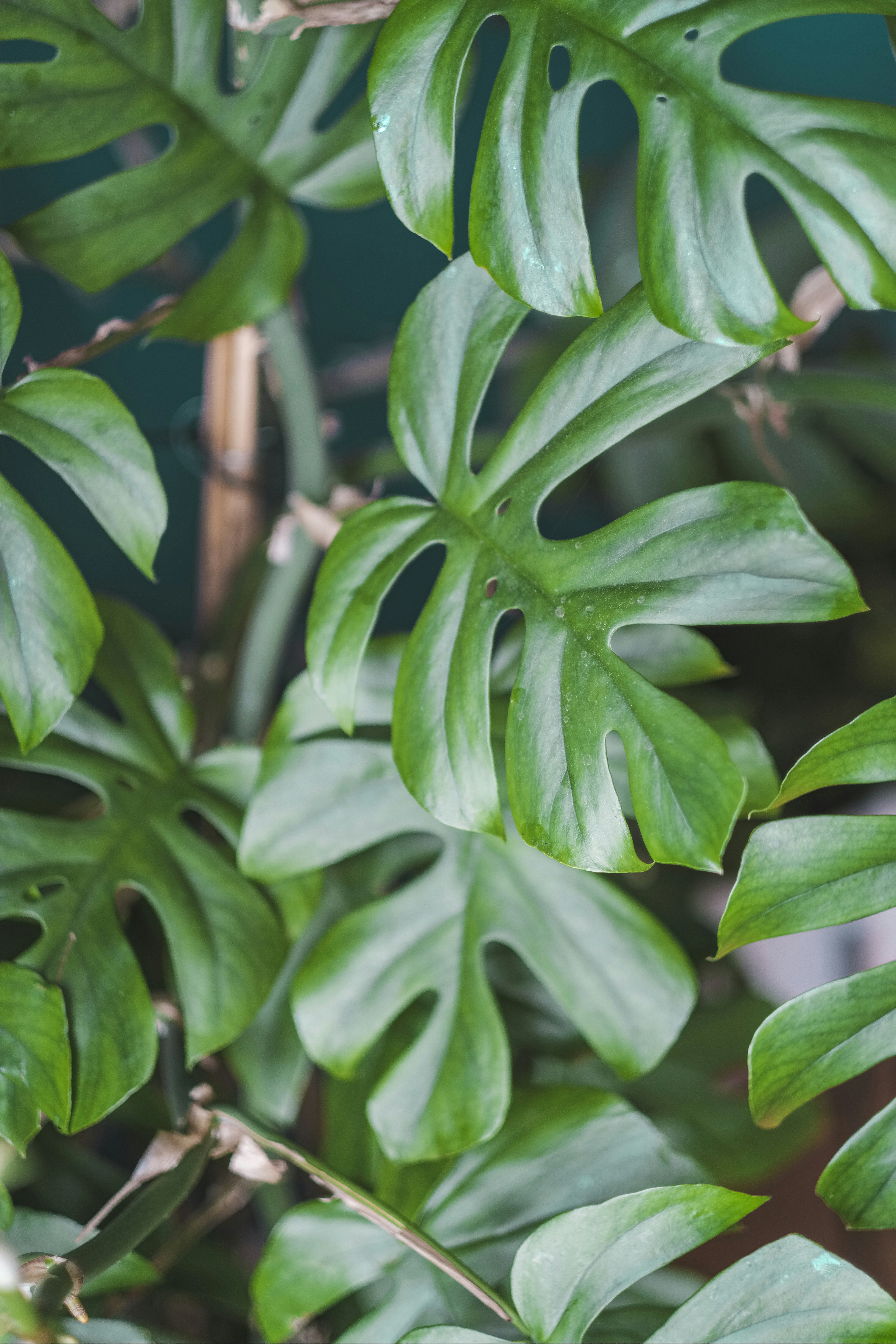 Photo by pixelatelier