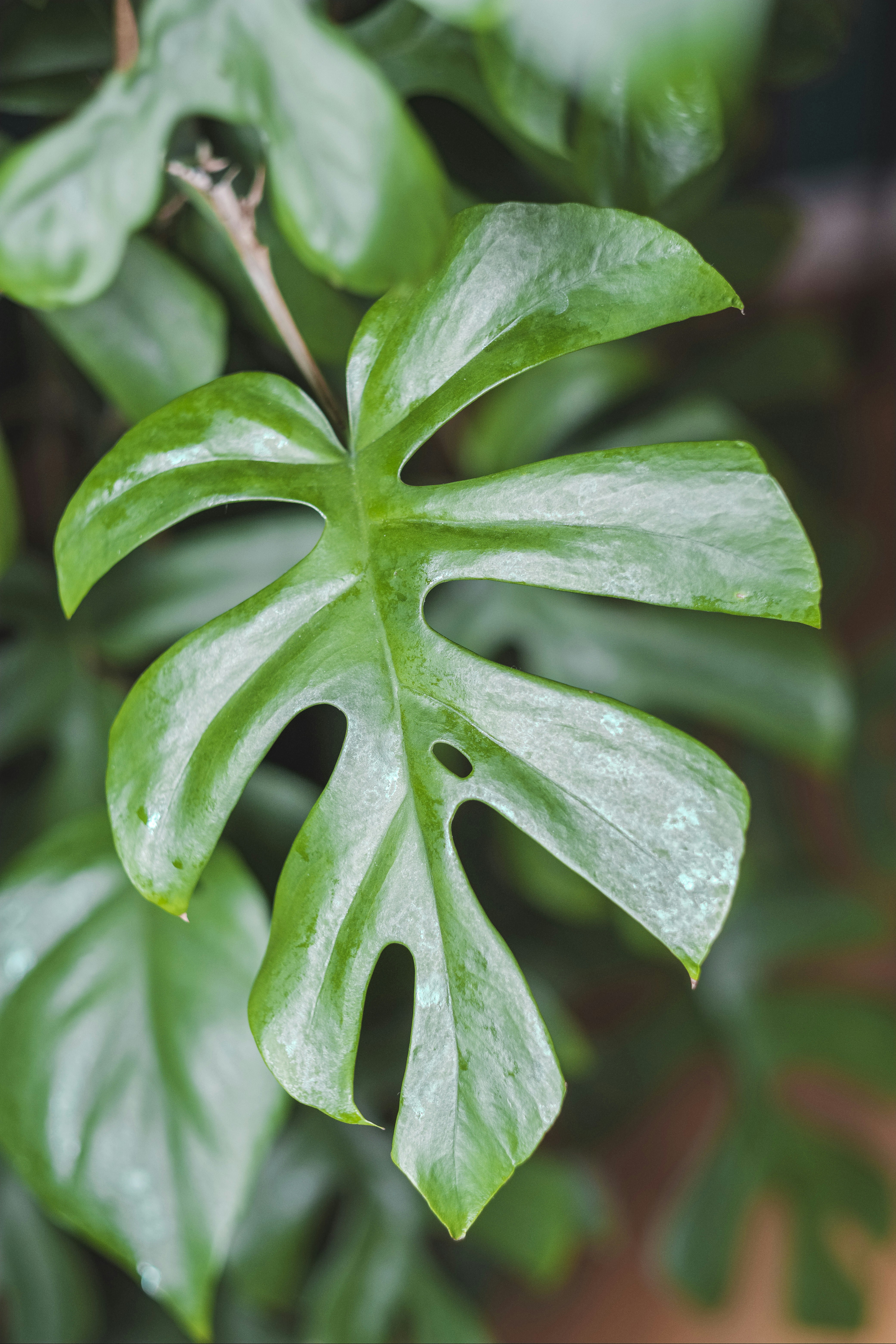 Photo by pixelatelier