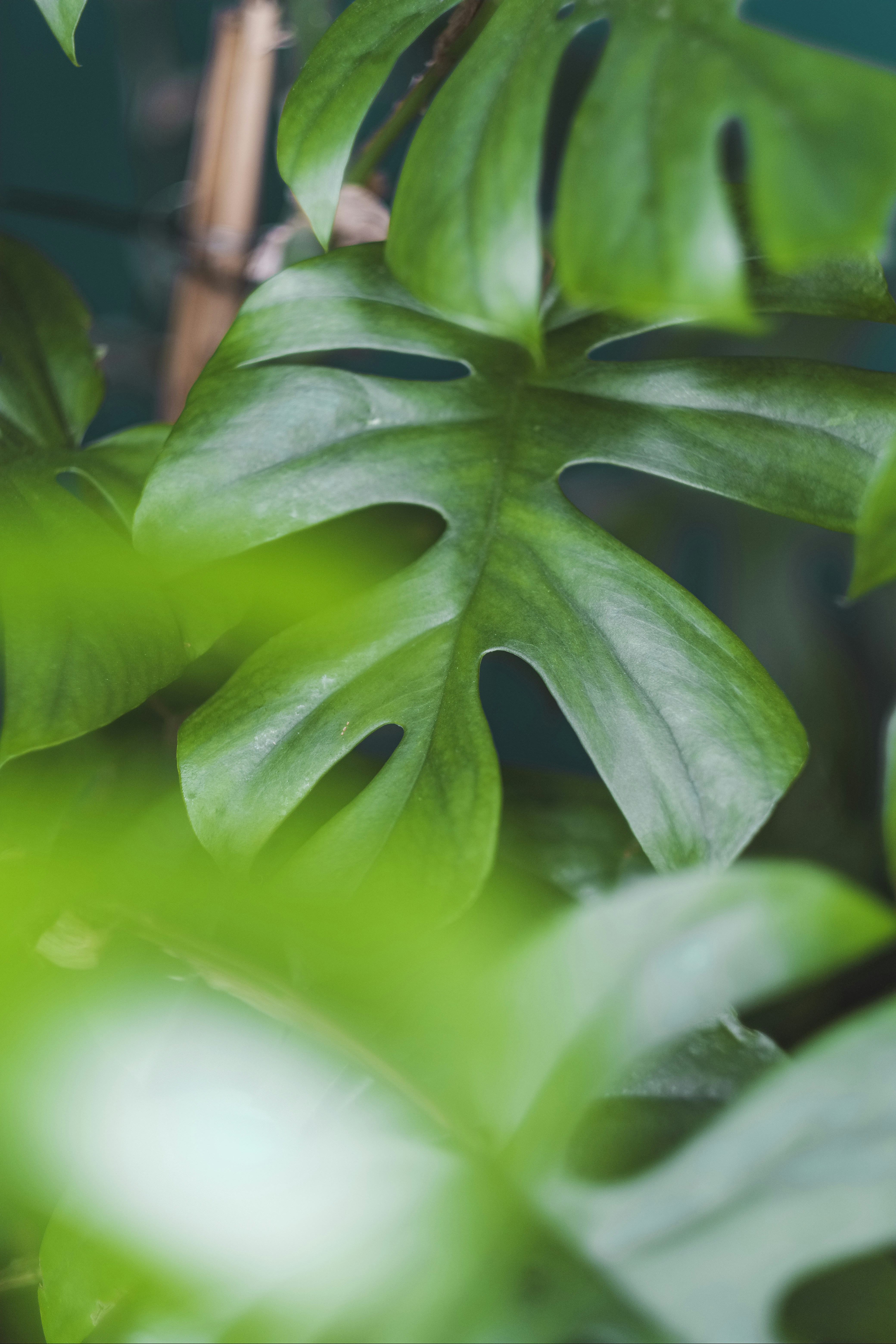 Photo by pixelatelier