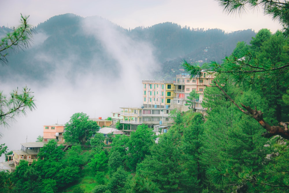 white and brown concrete building surrounded by green trees under white clouds during daytime