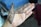 A hand with intricate henna designs covering the fingers and part of the palm. The patterns include swirls, lines, and dots, showing traditional artistic elements. The background is slightly blurred with a mix of blue and dark shades, suggesting an indoor environment.