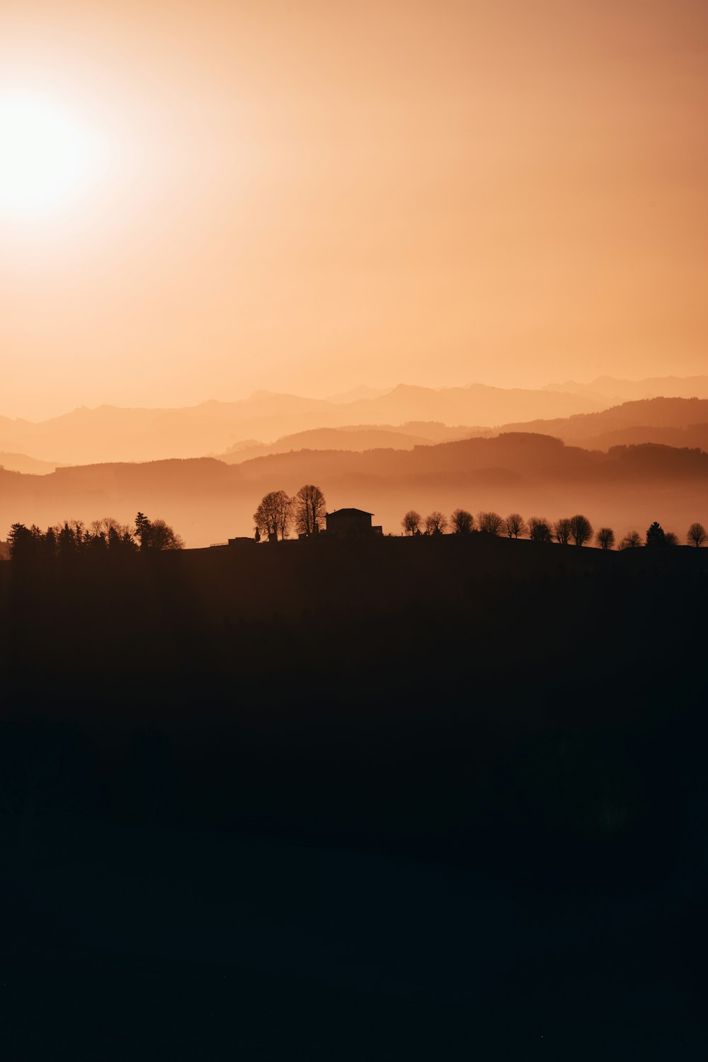 Siluetta degli alberi durante il tramonto