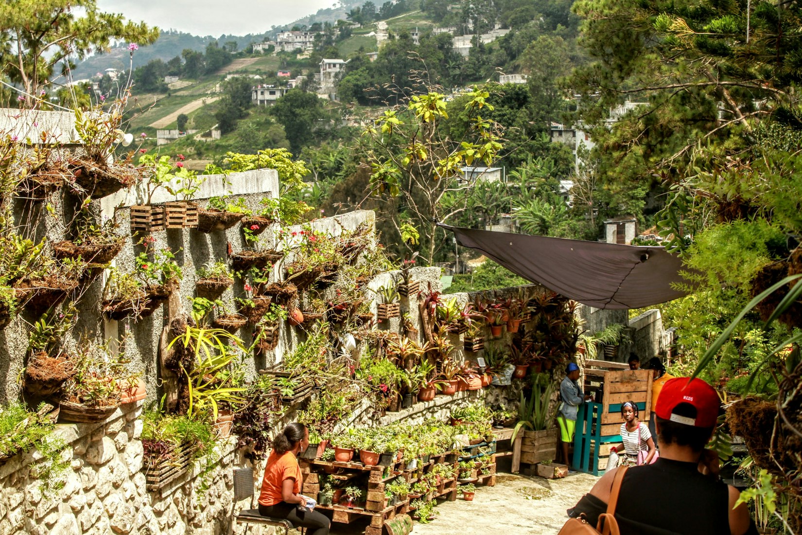 Greenery in Haiti (Patrice S Dorsainville via Unsplash)