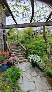 A charming garden pathway leading to a wedding altar.