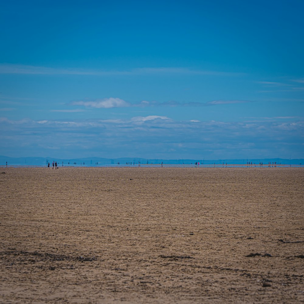 people walking on brown sand under blue sky during daytime