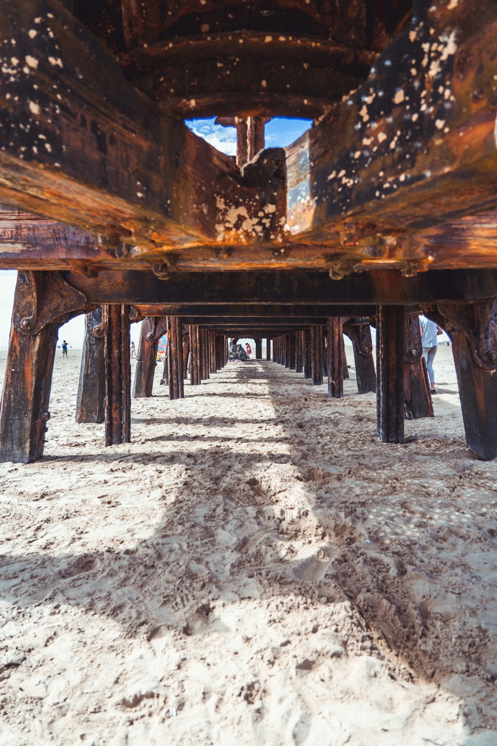 brown wooden dock on white sand during daytime