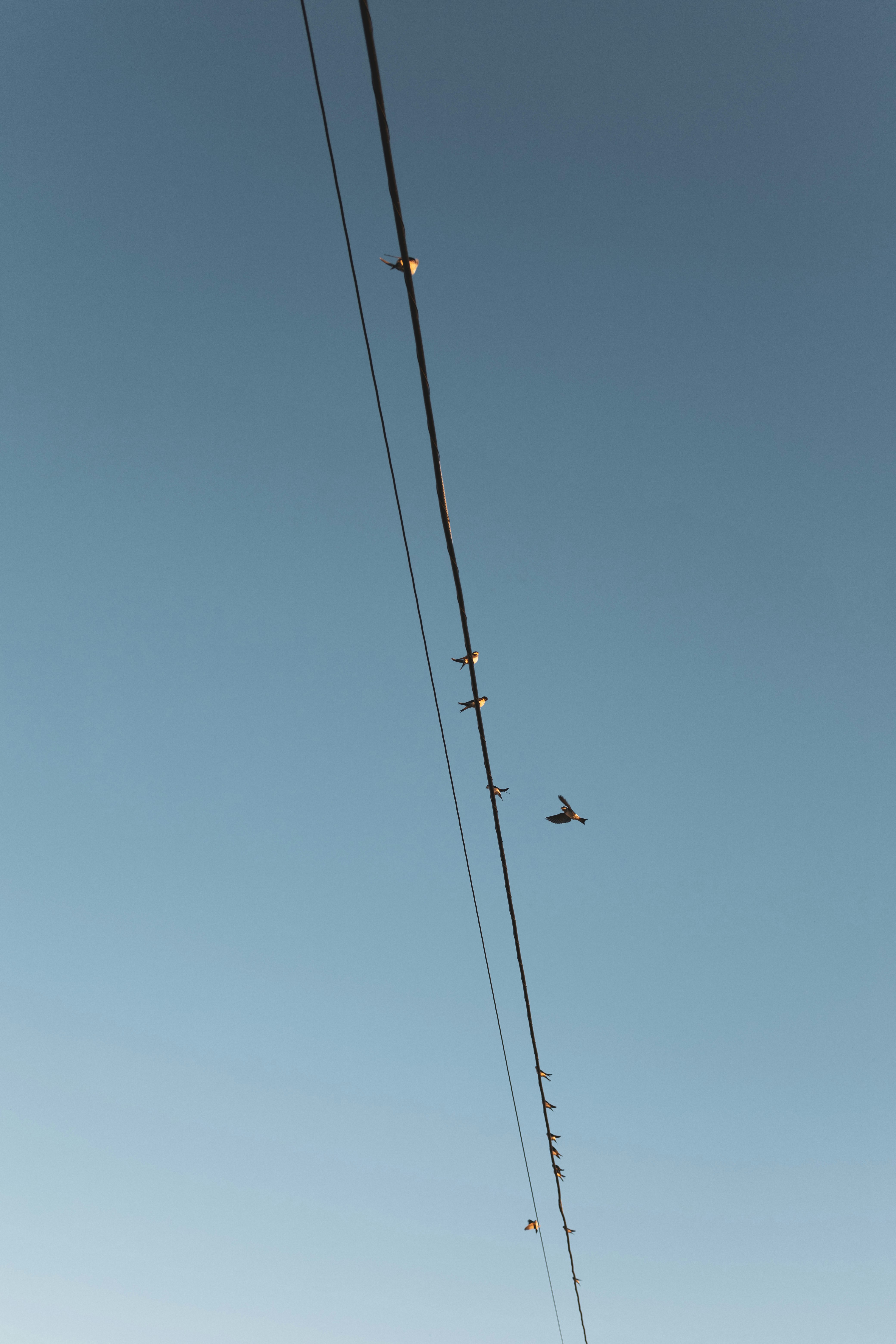 Photo by victor_vector