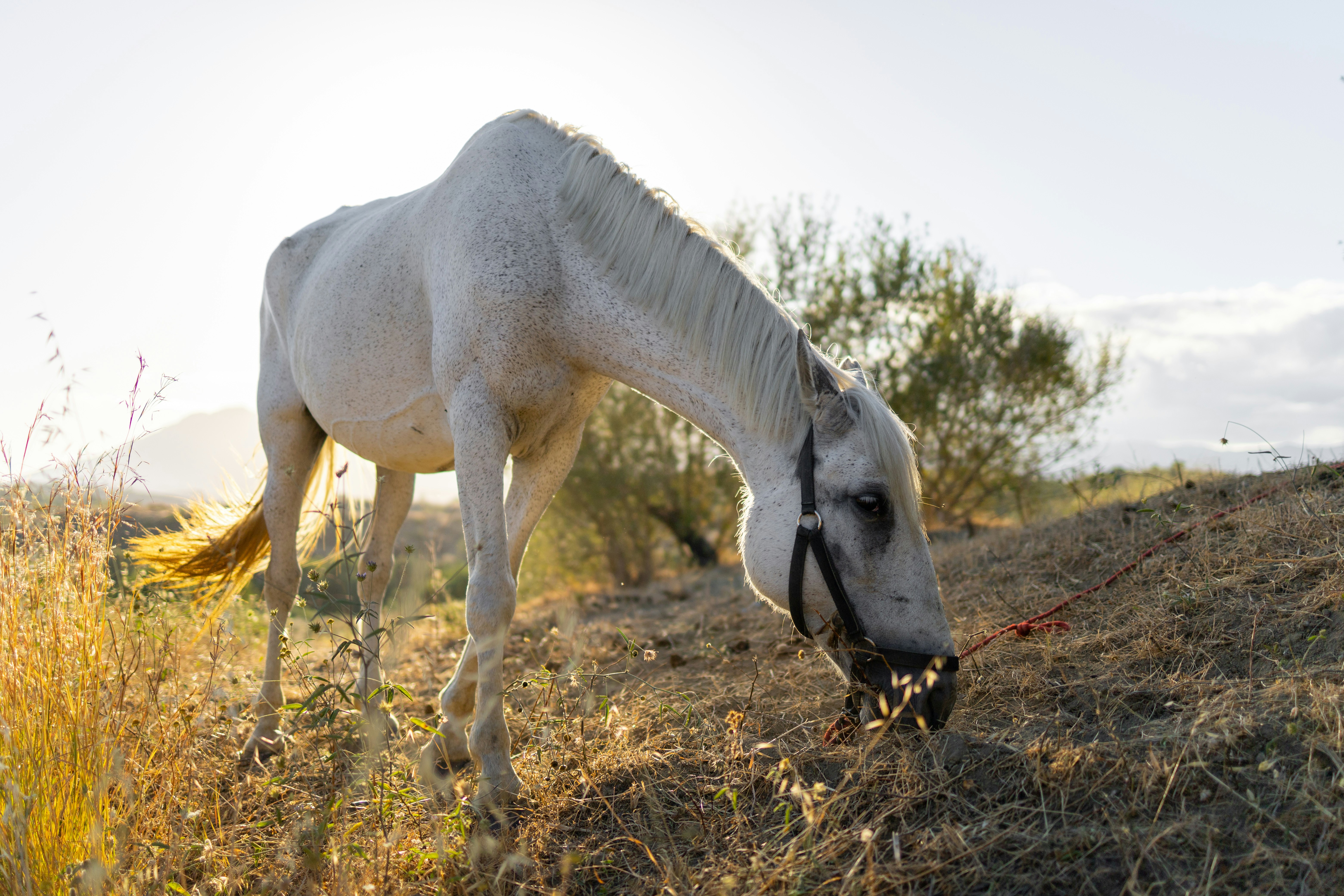 Photo by victor_vector