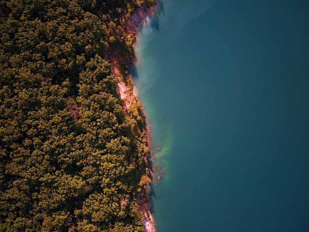 aerial view of green trees and blue ocean water during daytime