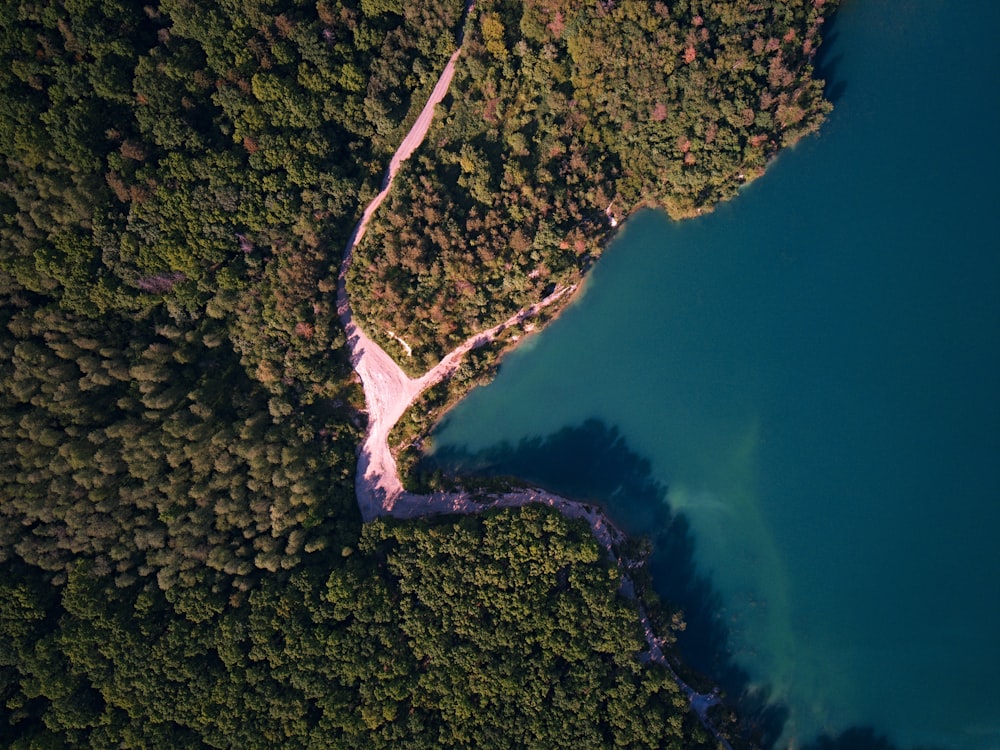 aerial view of green trees and blue sea during daytime