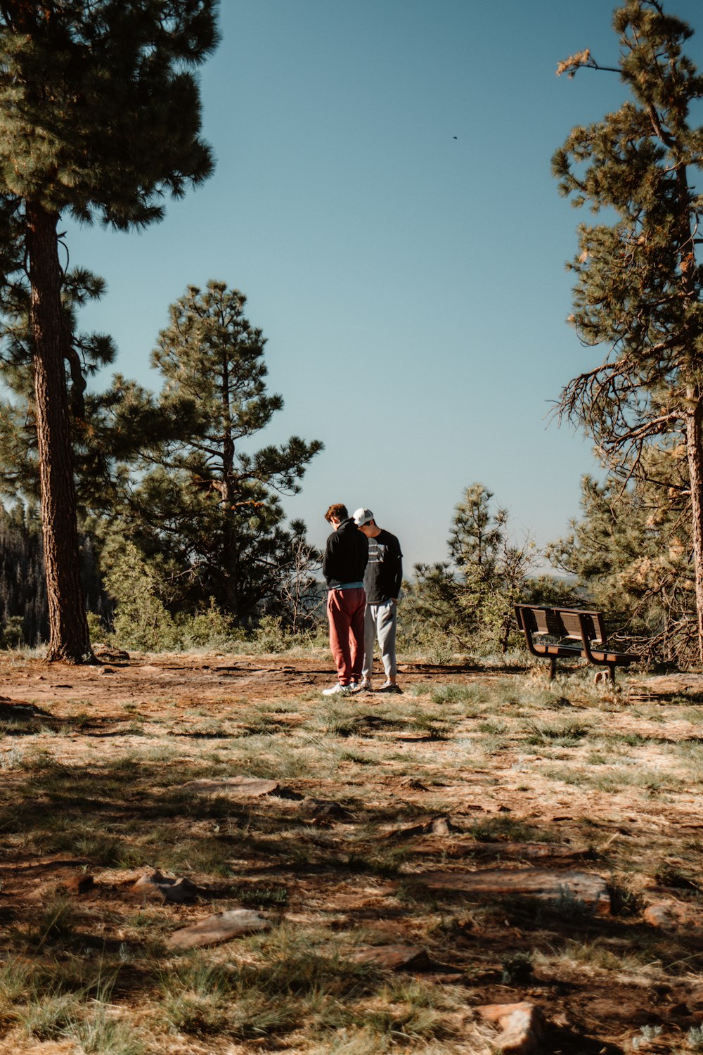 man and woman walking on dirt road near brown wooden bench under blue sky during daytime