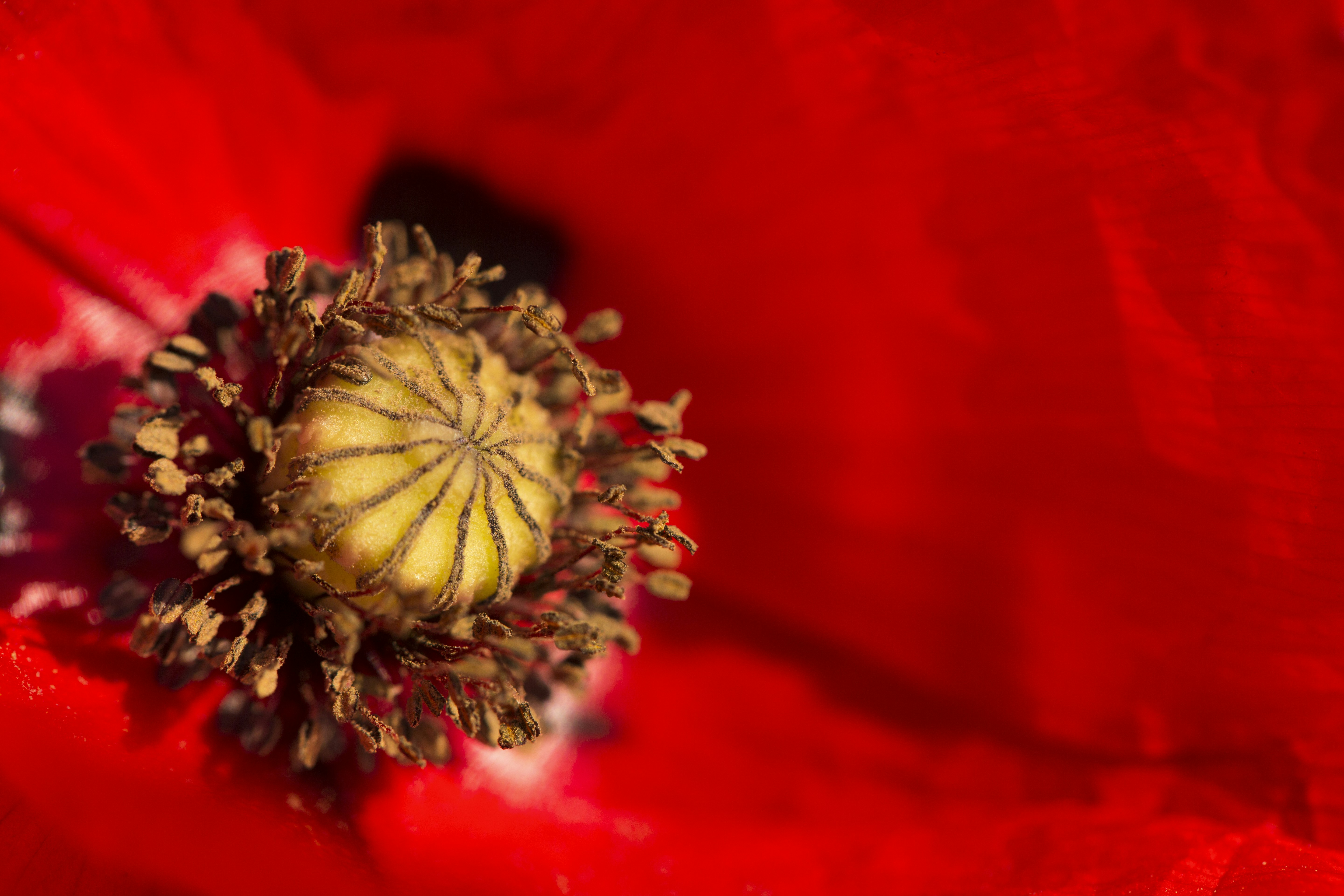 Photo by ditakesphotos