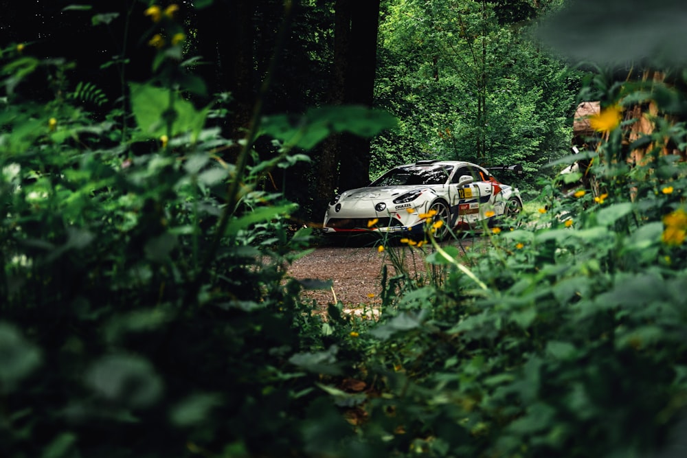 white and black car on forest during daytime