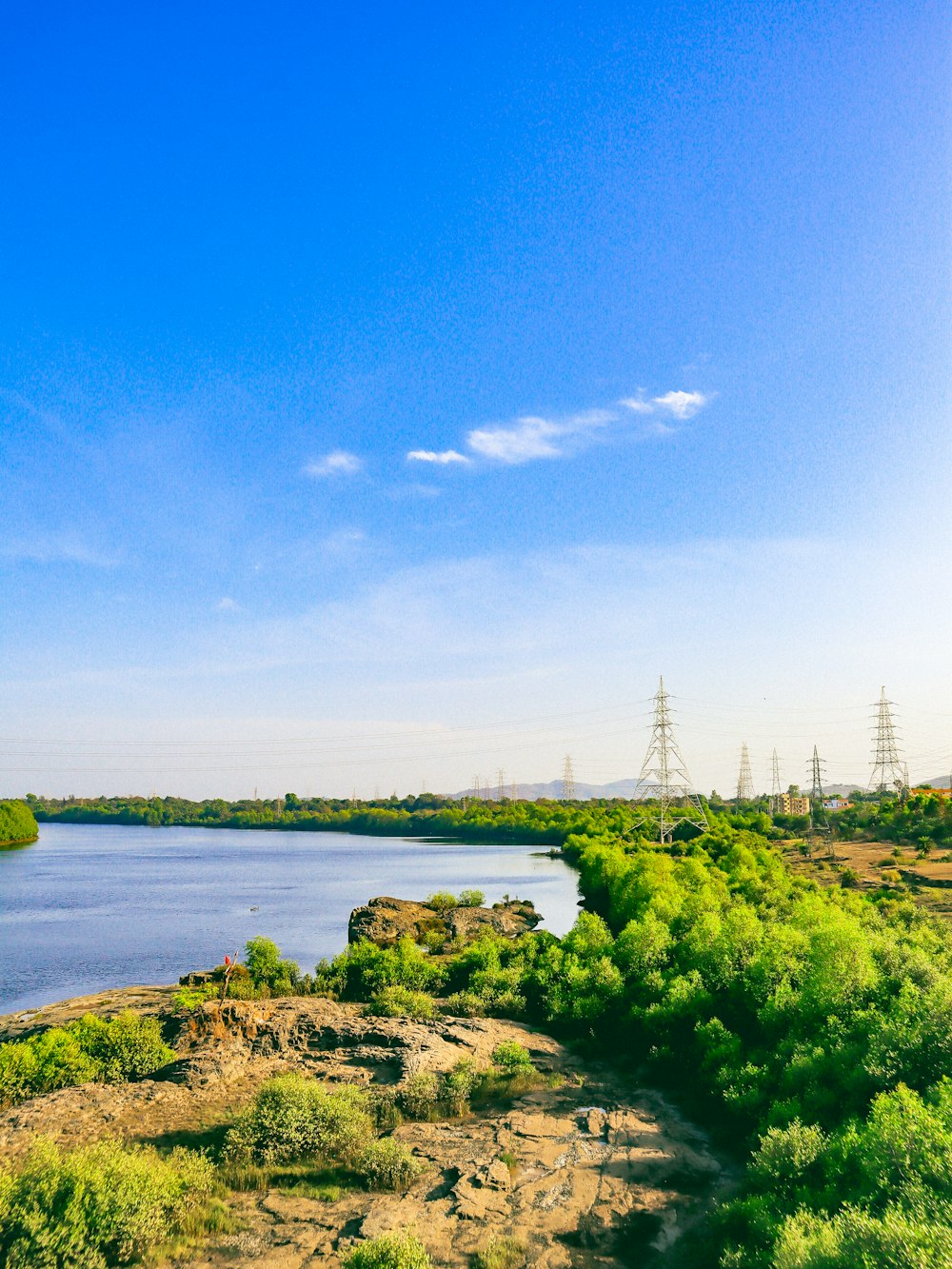 green grass near body of water under blue sky during daytime