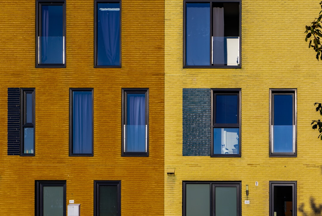 brown and black concrete building, Architectural facades & a cat in a window